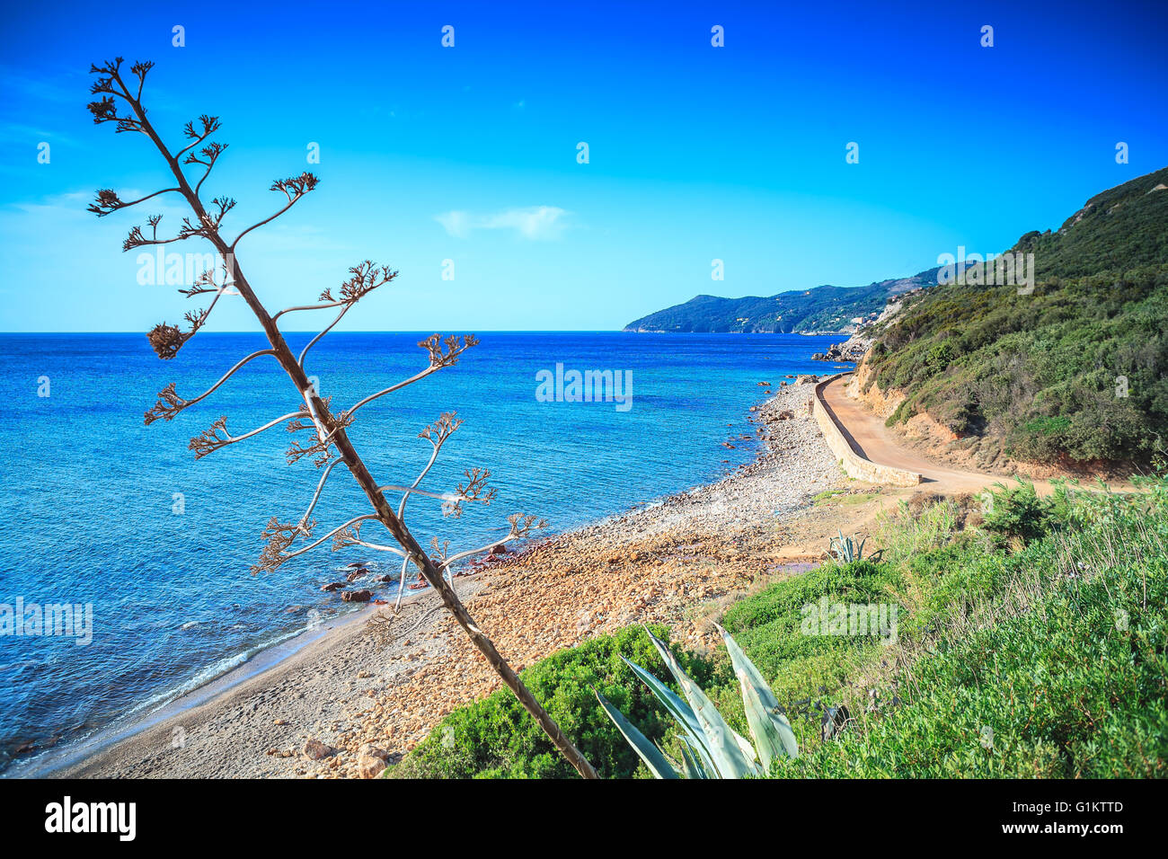 Ein Strand in der Nähe von Cavo, Insel Elba, Italien Stockfoto