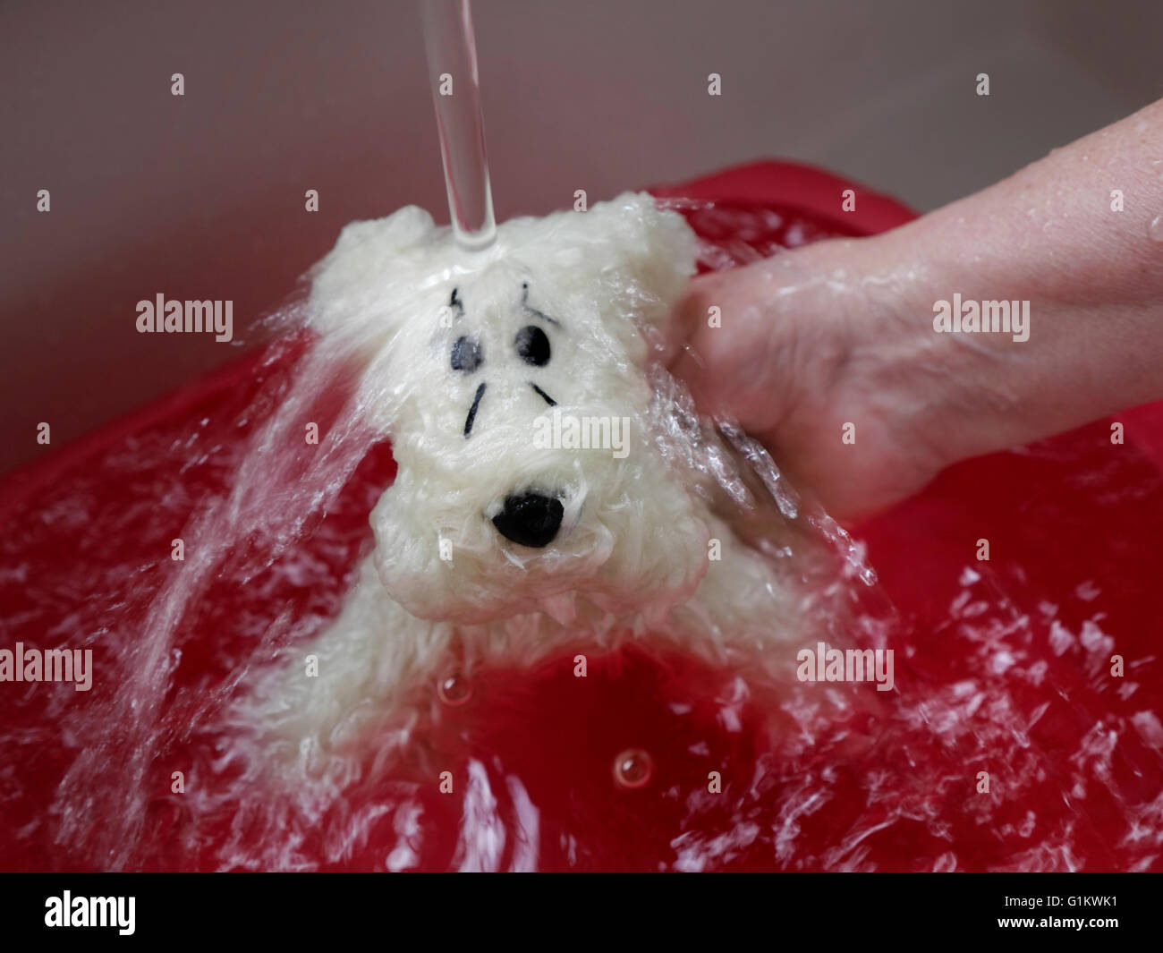 Lieblings-Spielzeughund suchen ein wenig traurig, während eine notwendige Waschen und spülen Stockfoto