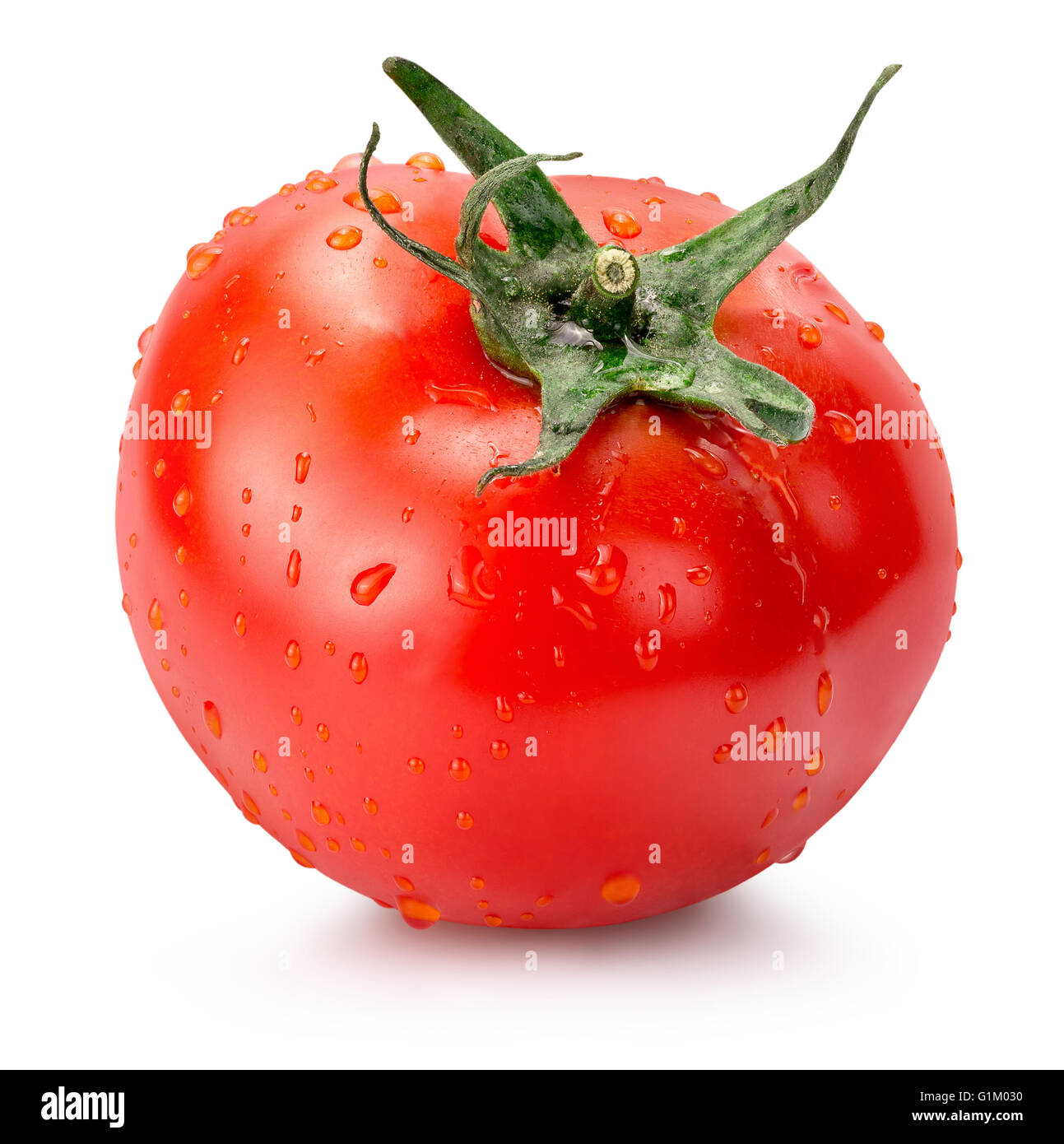 Tomate mit Wassertropfen auf einem weißen Hintergrund isoliert. Stockfoto
