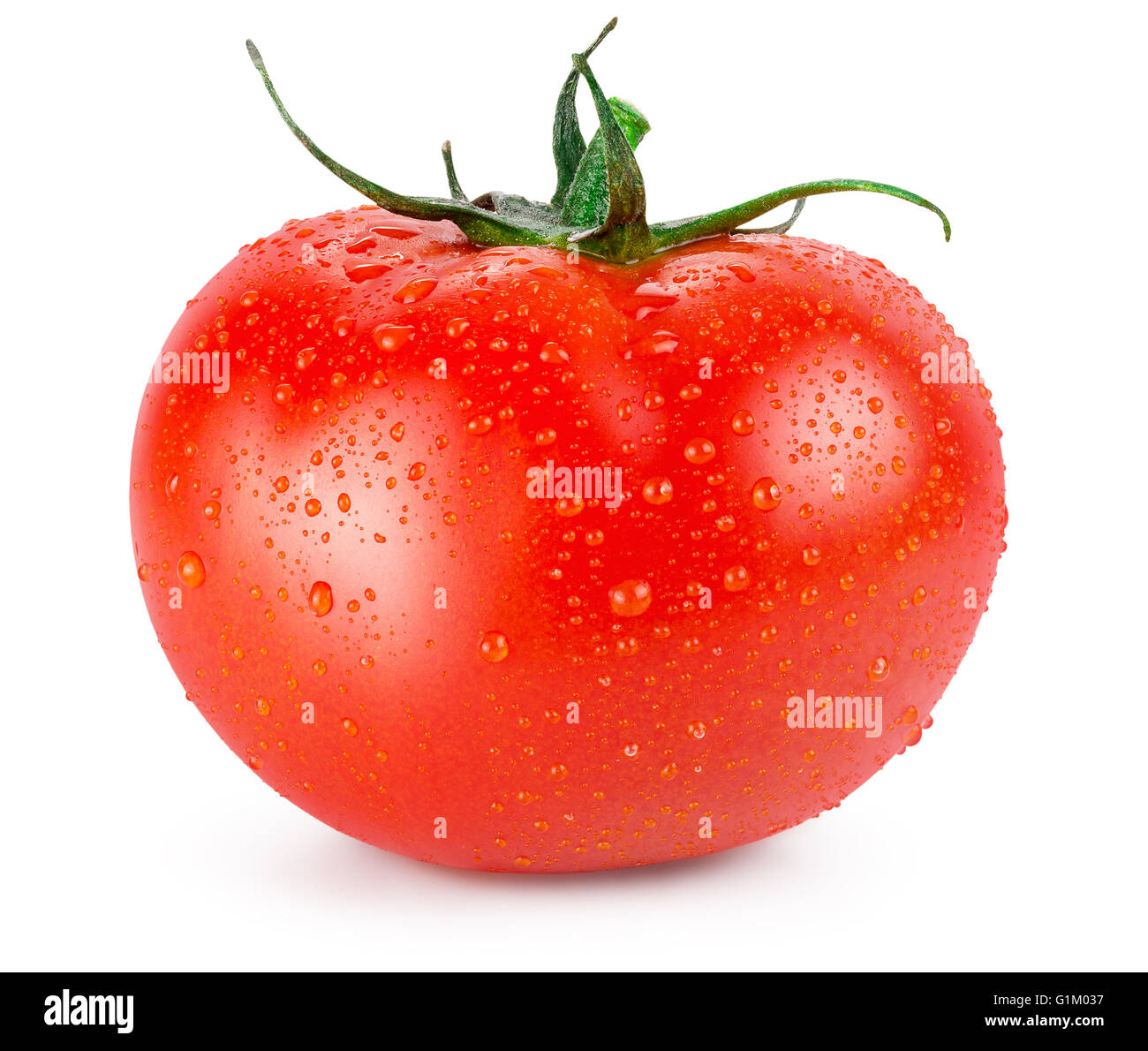 Tomate mit Wassertropfen auf einem weißen Hintergrund isoliert. Stockfoto