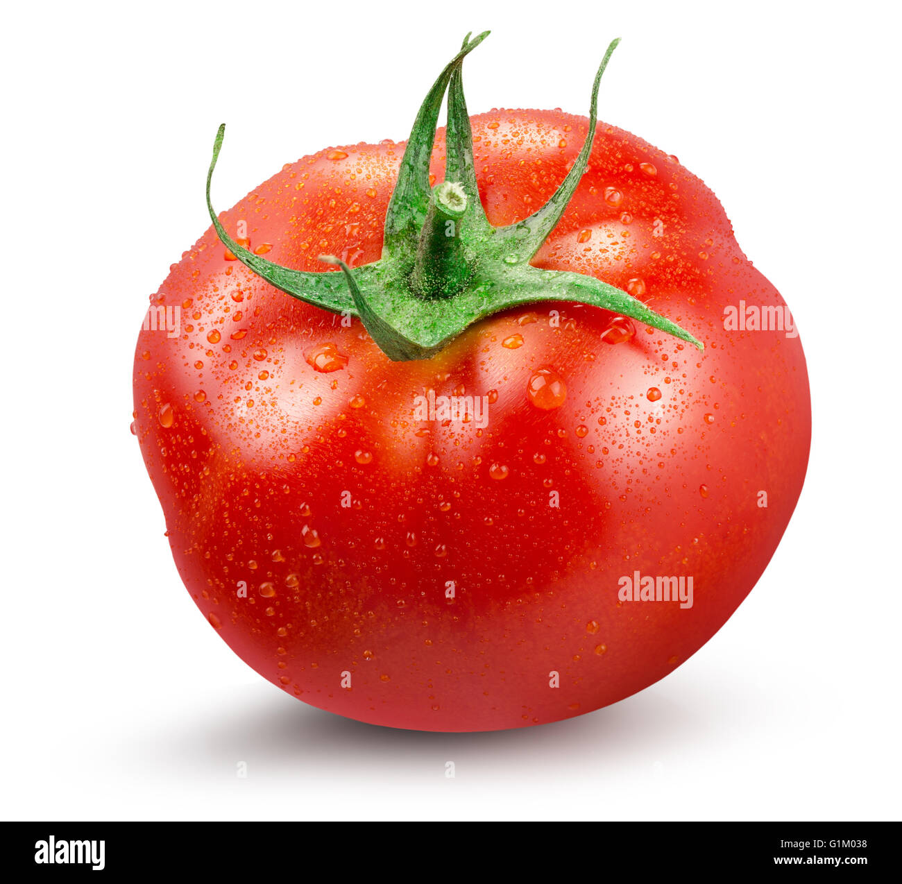 Tomate mit Wassertropfen auf dem weißen Hintergrund isoliert. Stockfoto