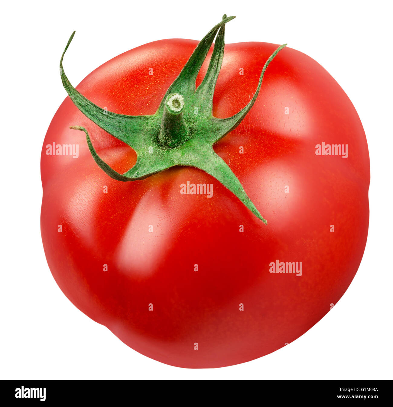 Tomate mit Wassertropfen auf dem weißen Hintergrund isoliert. Stockfoto