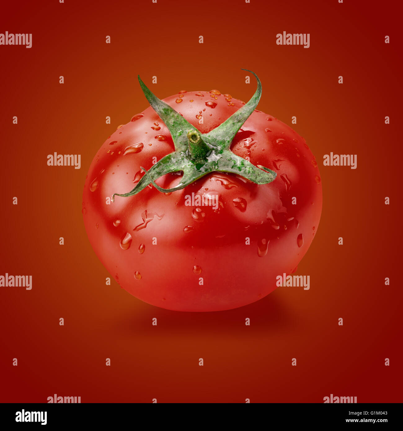Tomaten mit Wasser tropft auf rotem Hintergrund. Stockfoto