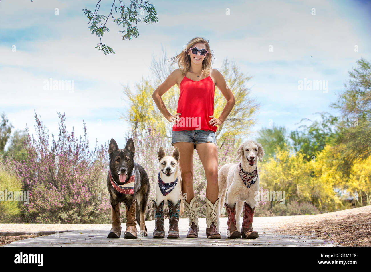 Frau mit 3 Hunde tragen Cowboy-Stiefel und patriotischen Bandanas Stockfoto
