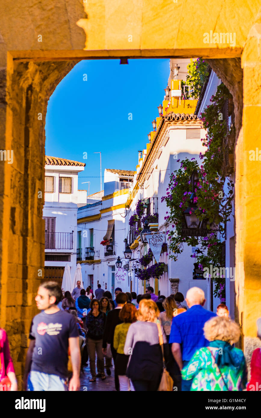 Almodóvar Tor ist arabischen Ursprungs, im vierzehnten Jahrhundert umgebaut. Córdoba, Andalusien, Spanien, Europa Stockfoto