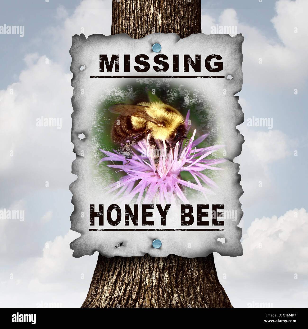 Honigbiene Konzept fehlt oder Bienen Nachricht Zeichen als Symbol für Landwirtschaft Bestäubung Krise als den Niedergang und verschwinden bestäubenden Insekten in eine 3D Darstellung Stil Landwirtschaft verschwinden. Stockfoto