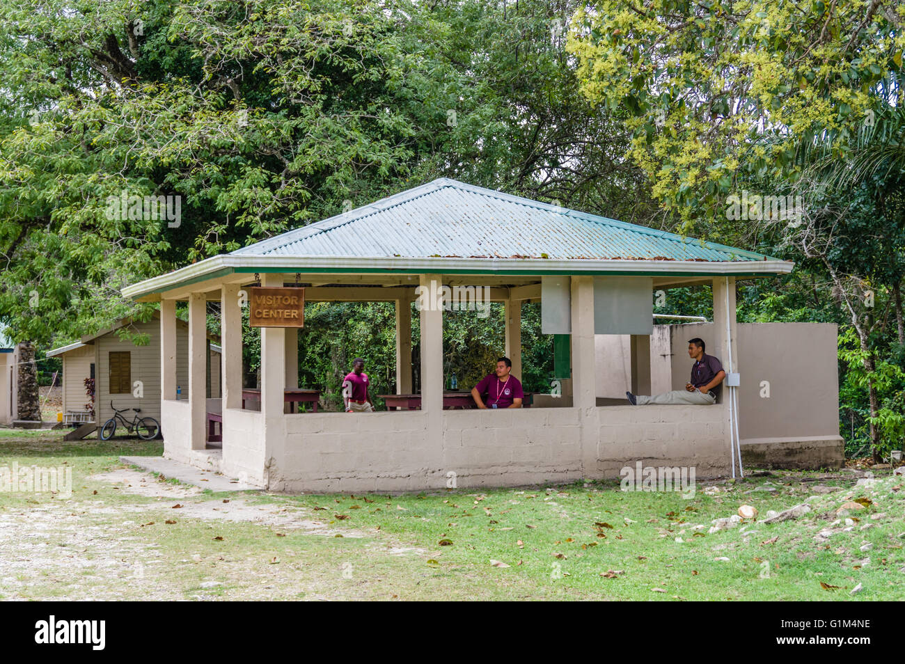 Reiseleiter am Visitor Center des Altun Ha historischen Ort.  Belize District, Belize Stockfoto