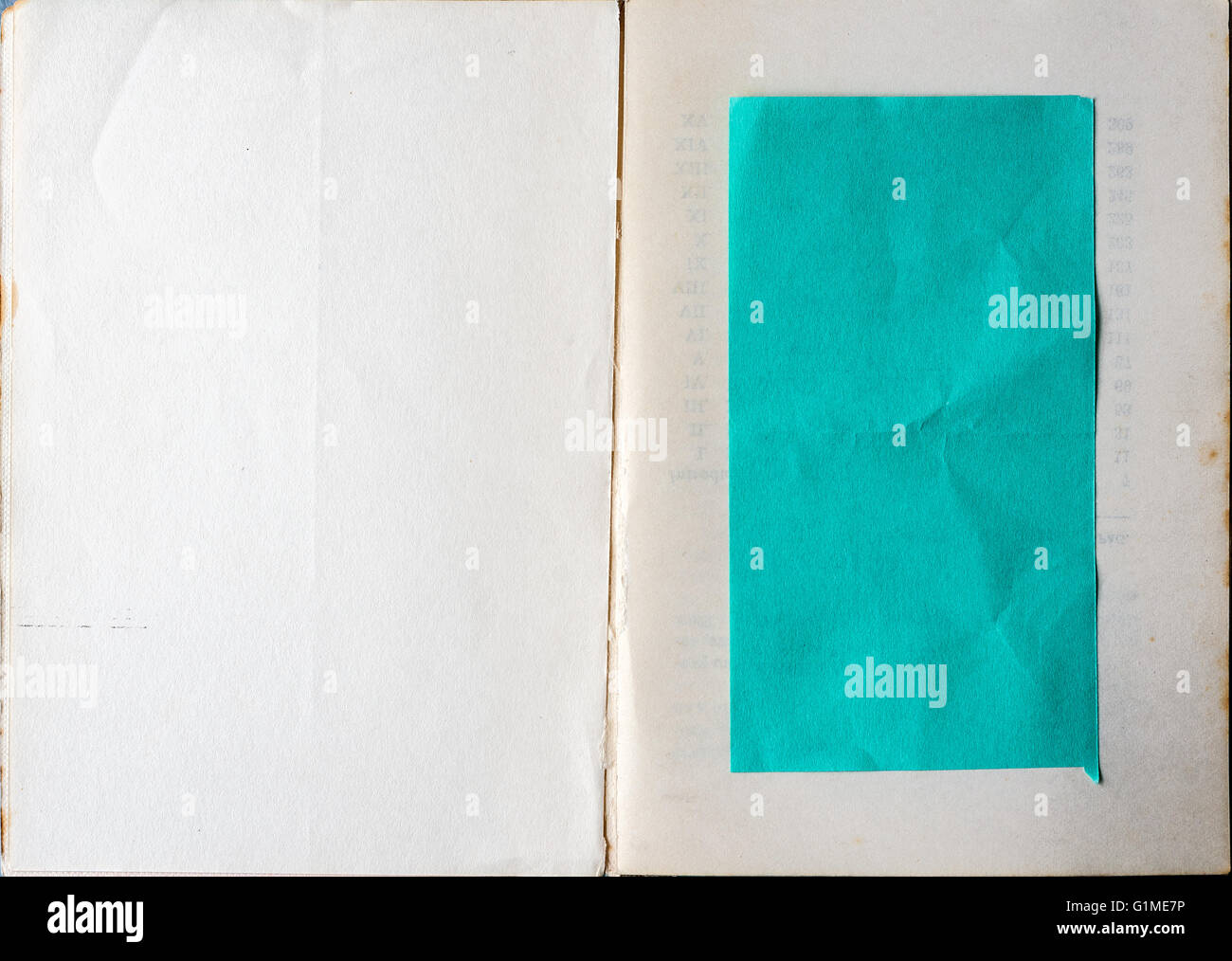 Buch für die erste Seite zeigt leeres grüne Papier innen geöffnet. Stockfoto