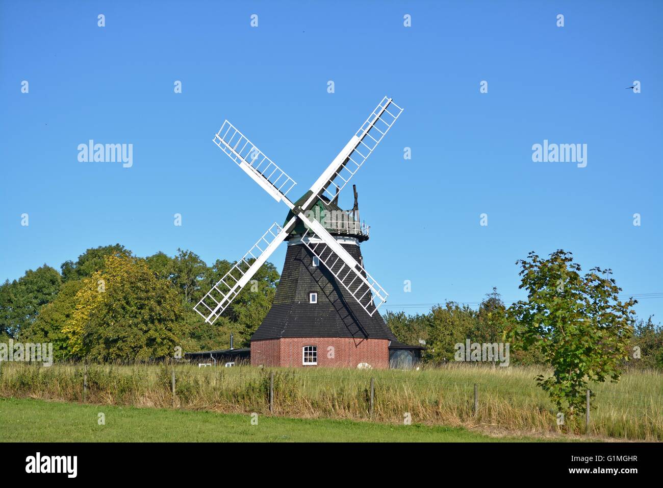Alte klassische Windmühle, in Deutschland, in der Nähe der Ostseeküste. Stockfoto