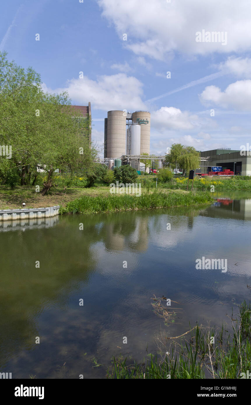 Carlsberg-Brauerei an den Ufern des Flusses Nene, Northampton, UK Stockfoto