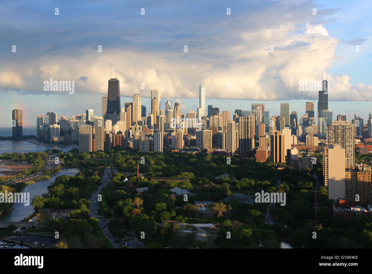 Skyline von Chicago im Sommer Stockfoto