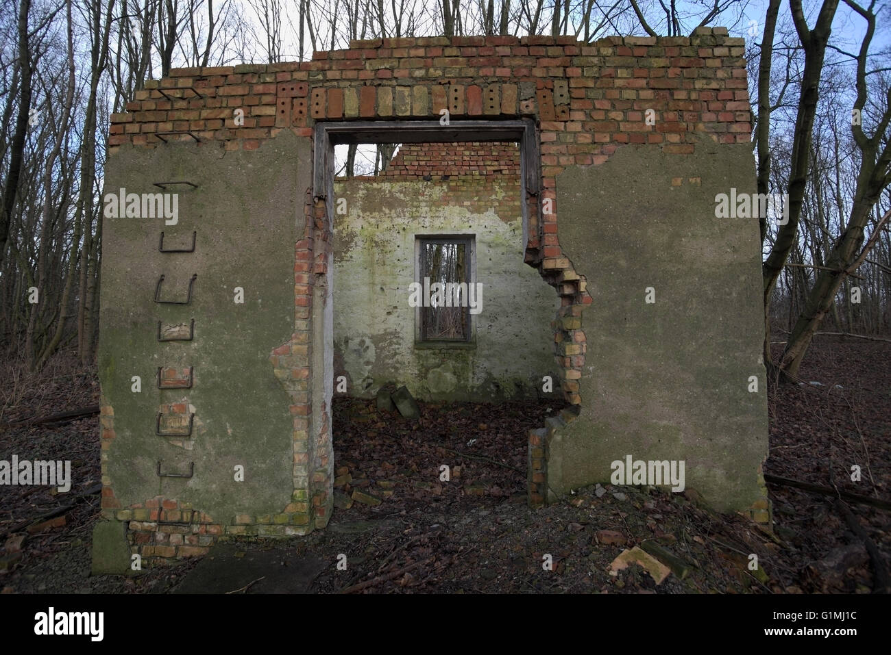 Schauen Sie durch die Reste des zerstörten Haus im Wald. Stockfoto