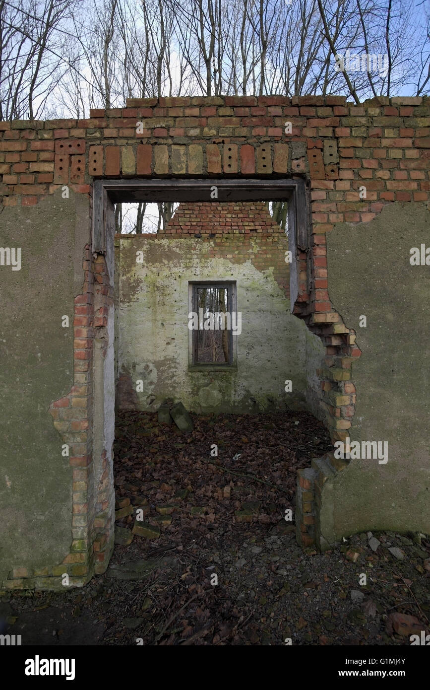 Schauen Sie durch die Reste des zerstörten Haus im Wald. Stockfoto