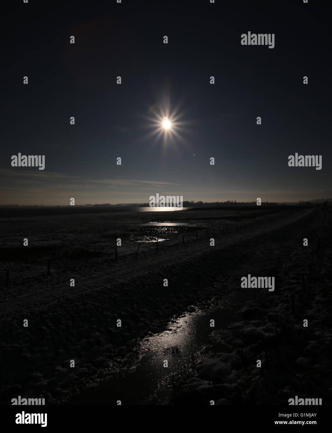 Naturschutzgebiet auf den Karrendorfer Wiesen bei Greifswald, Mecklenburg-Vorpommern, Deutschland, im winter Stockfoto