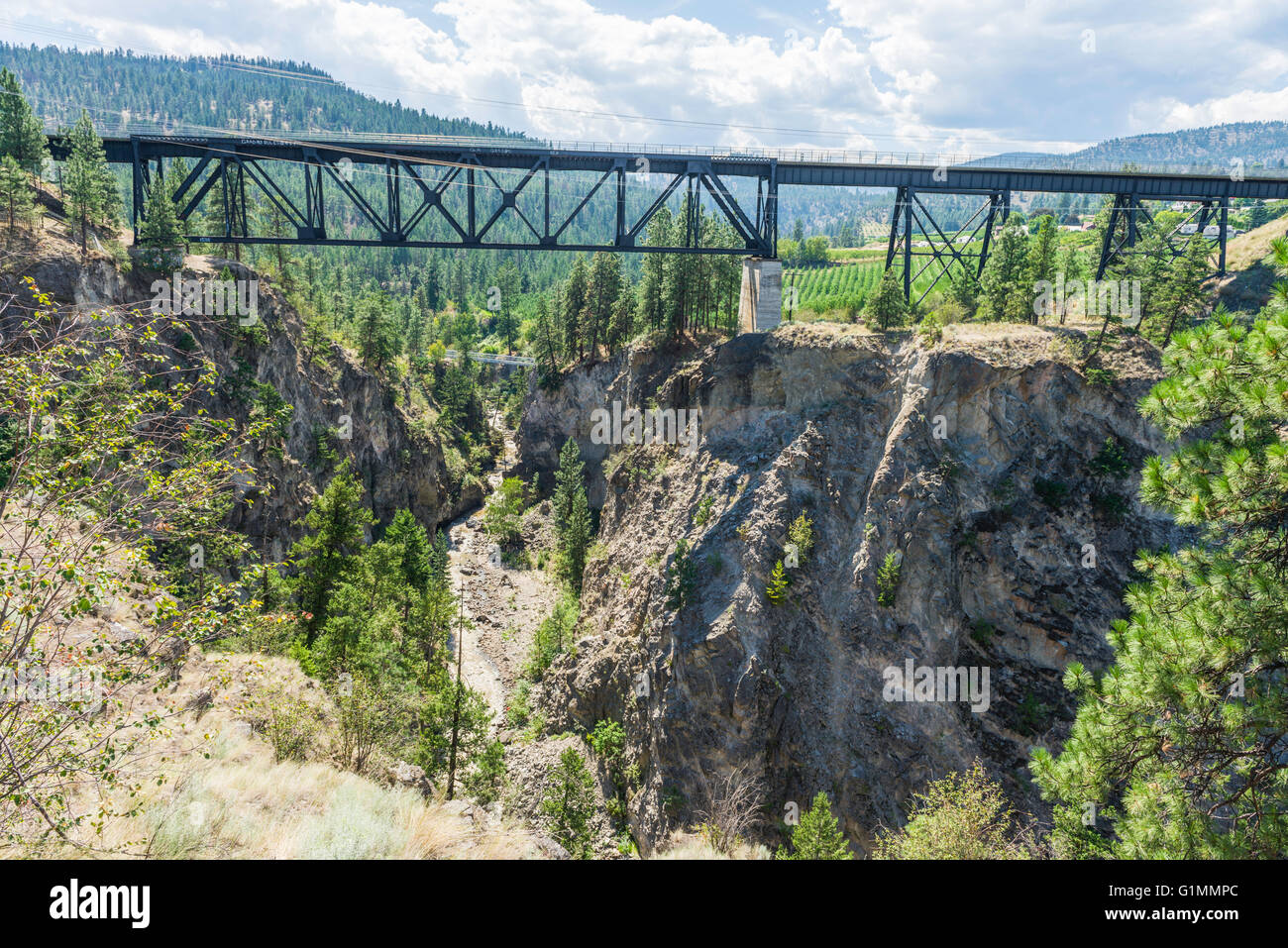 Trout Creek Bridge (1913), eine Eisenbahn-Bock über Trout Creek Canyon auf die historischen Kettle Valley Dampfeisenbahn. Stockfoto