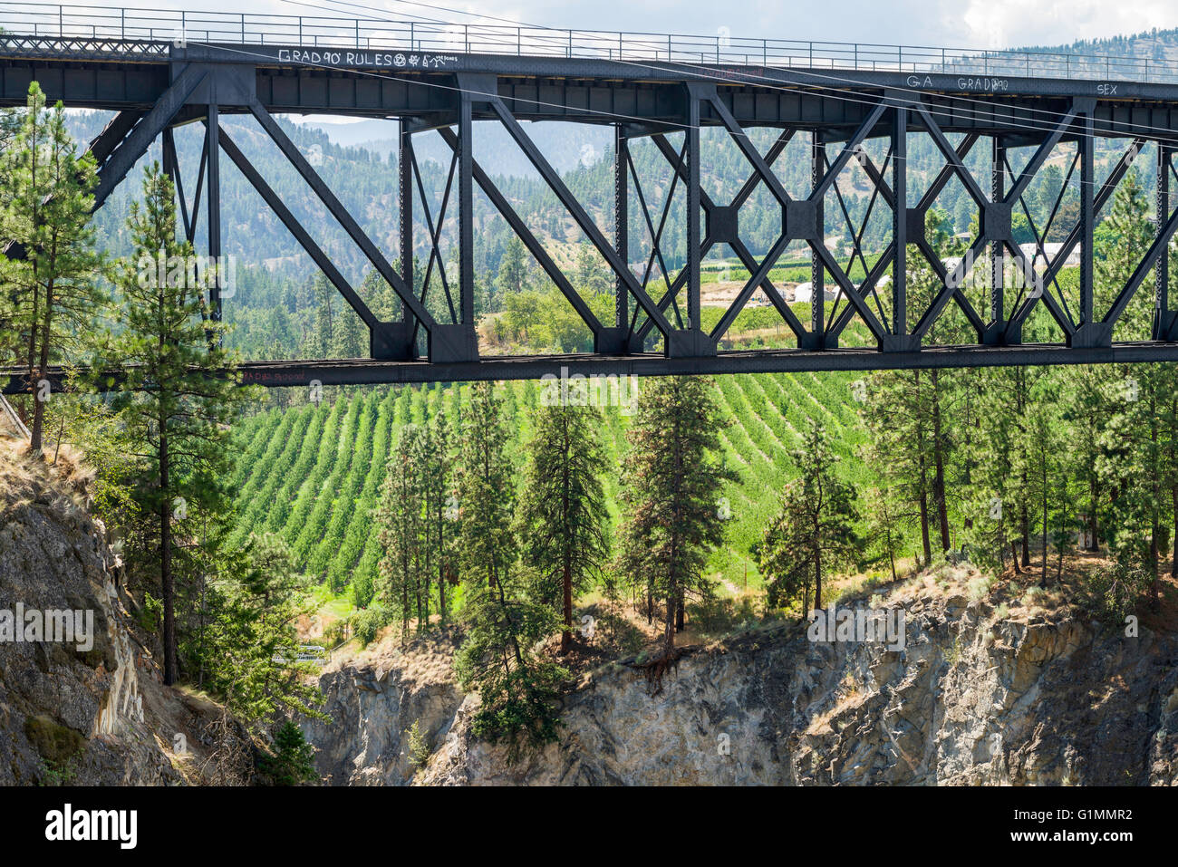 Trout Creek Bridge (1913), Eisenbahn-Bock über Trout Creek Canyon auf die historischen Kettle Valley Dampfeisenbahn.  Weingarten jenseits Stockfoto