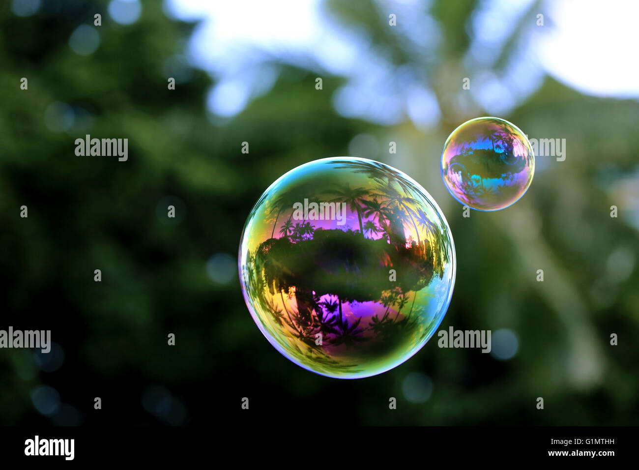 Bunte Seifenblasen mit Kokospalmen Reflexion, Makro Stockfoto