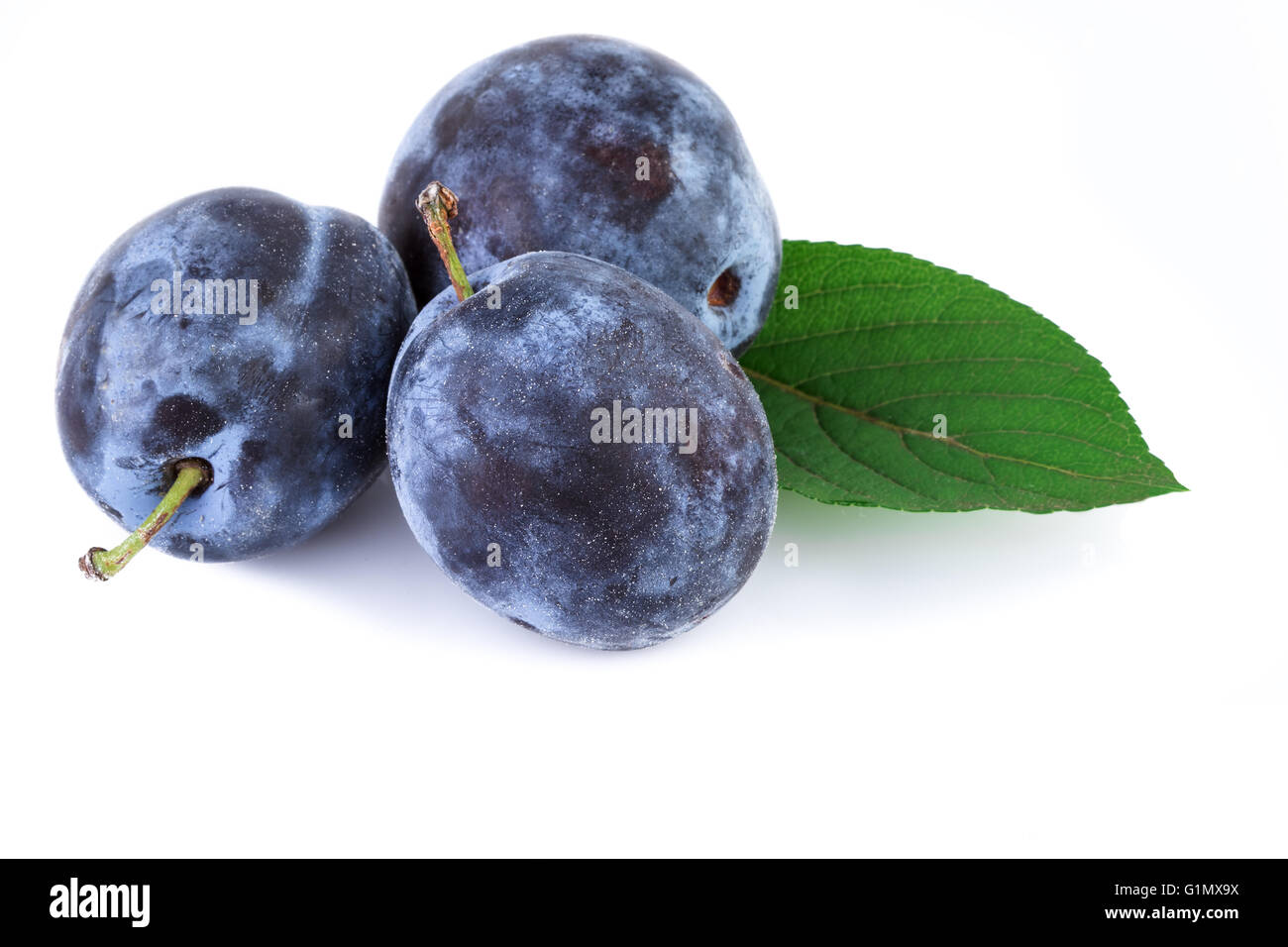 Bio Pflaumen Frucht mit Blatt auf weiß. Closeup. Stockfoto