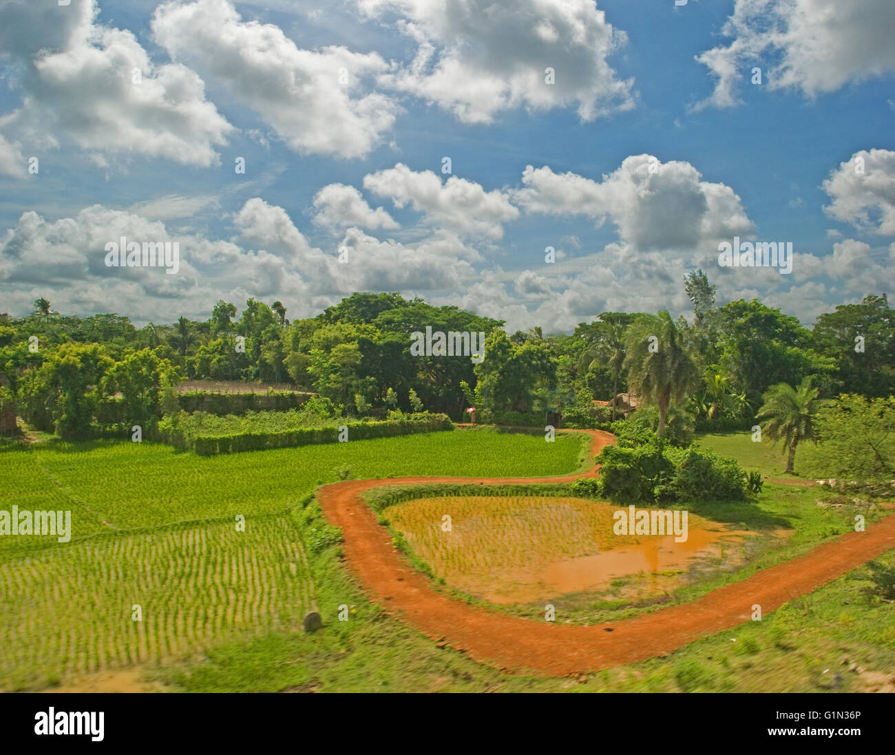 West-Bengalen Landschaft aus einem fahrenden Zug, Indien Stockfoto