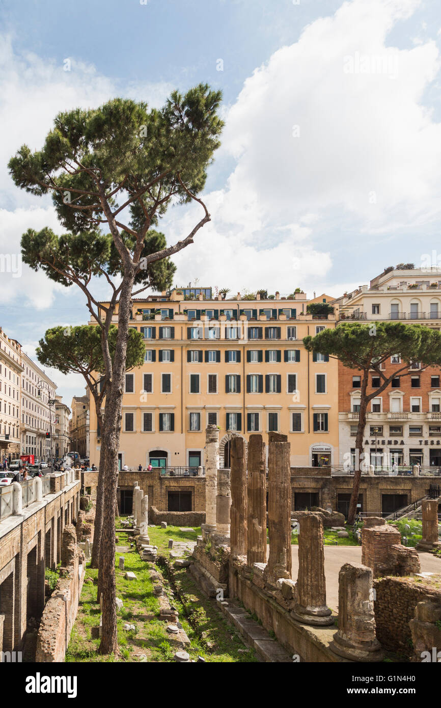 Rom, Italien.  Largo di Torre Argentina.  Ruinen der antiken römischen Republik.  Dazu gehören die Überreste der Kurie des Pompeius Stockfoto