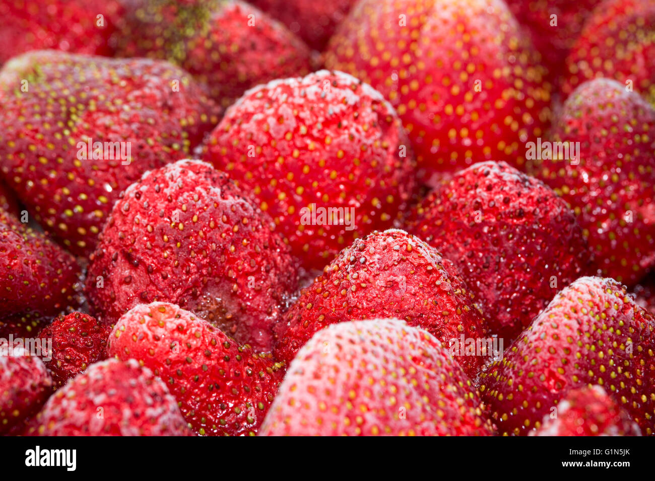 gefrorene Erdbeeren Hintergrund mit selektiven Fokus Stockfoto