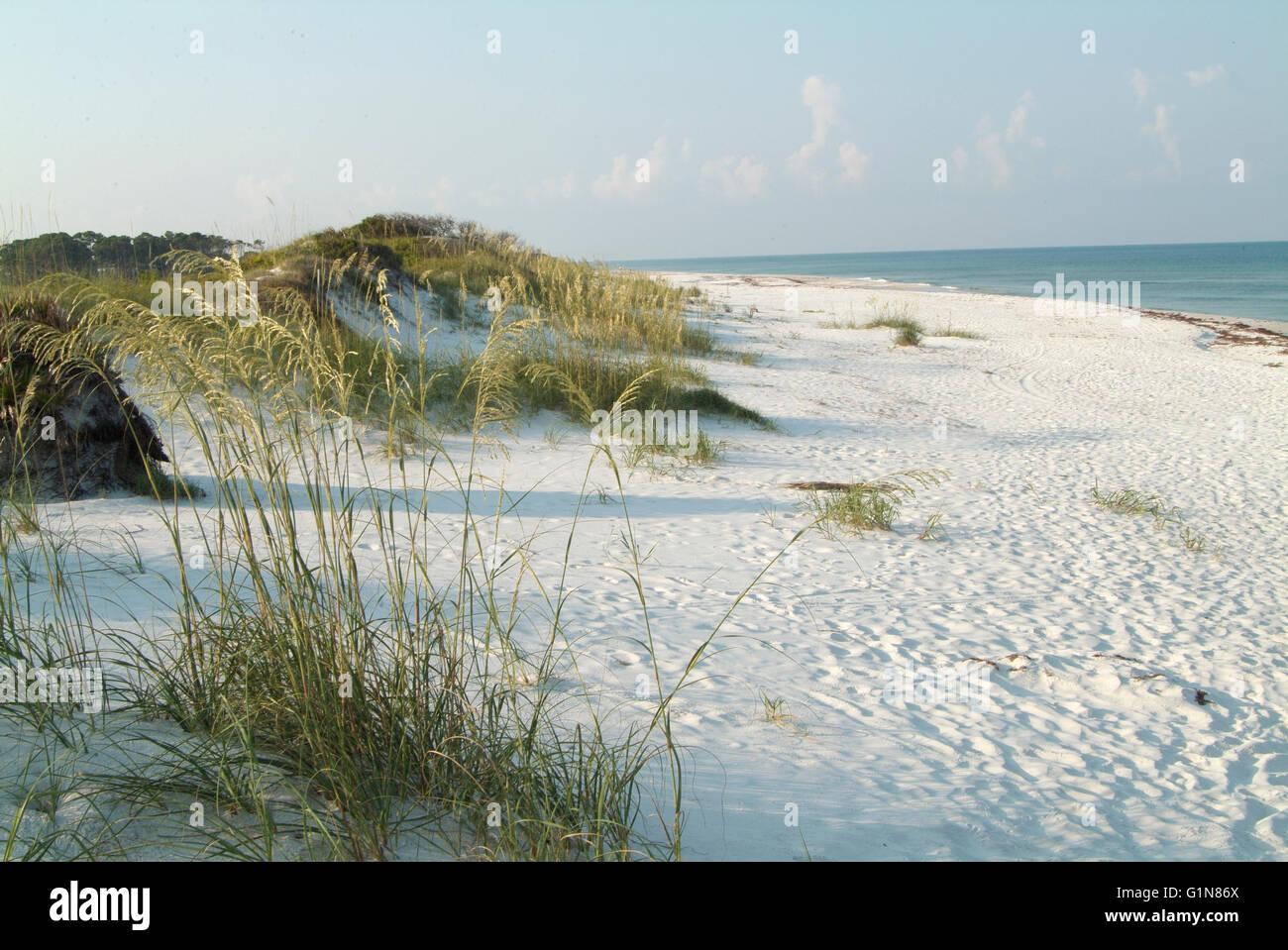 St. Joseph Peninsula State Park, FL. Stockfoto