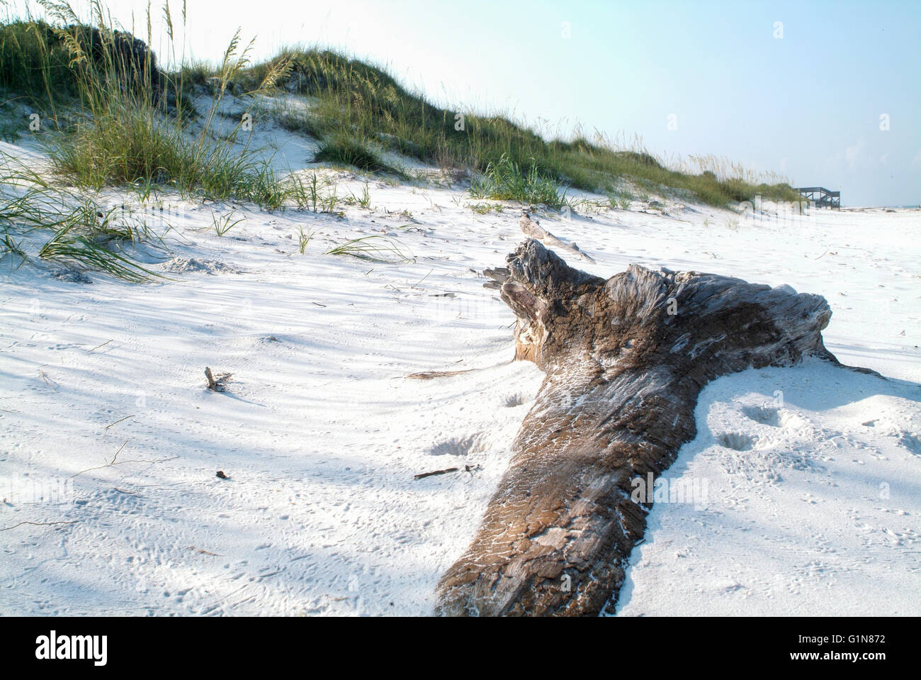 St. Joseph Peninsula State Park, FL. Stockfoto