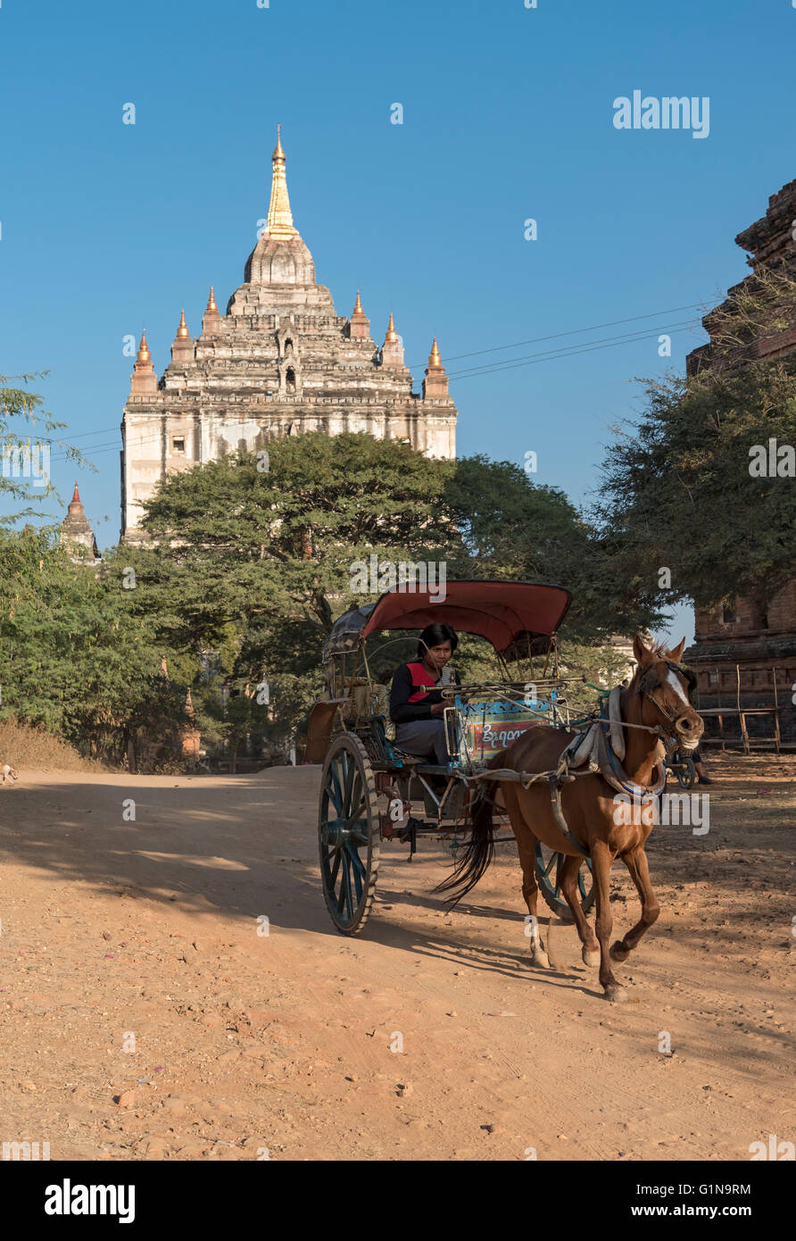 Pferdewagen außerhalb Thatbyinnyu Paya -, dass Byin Nyu Tempel, Old Bagan, Myanmar - Burma Stockfoto
