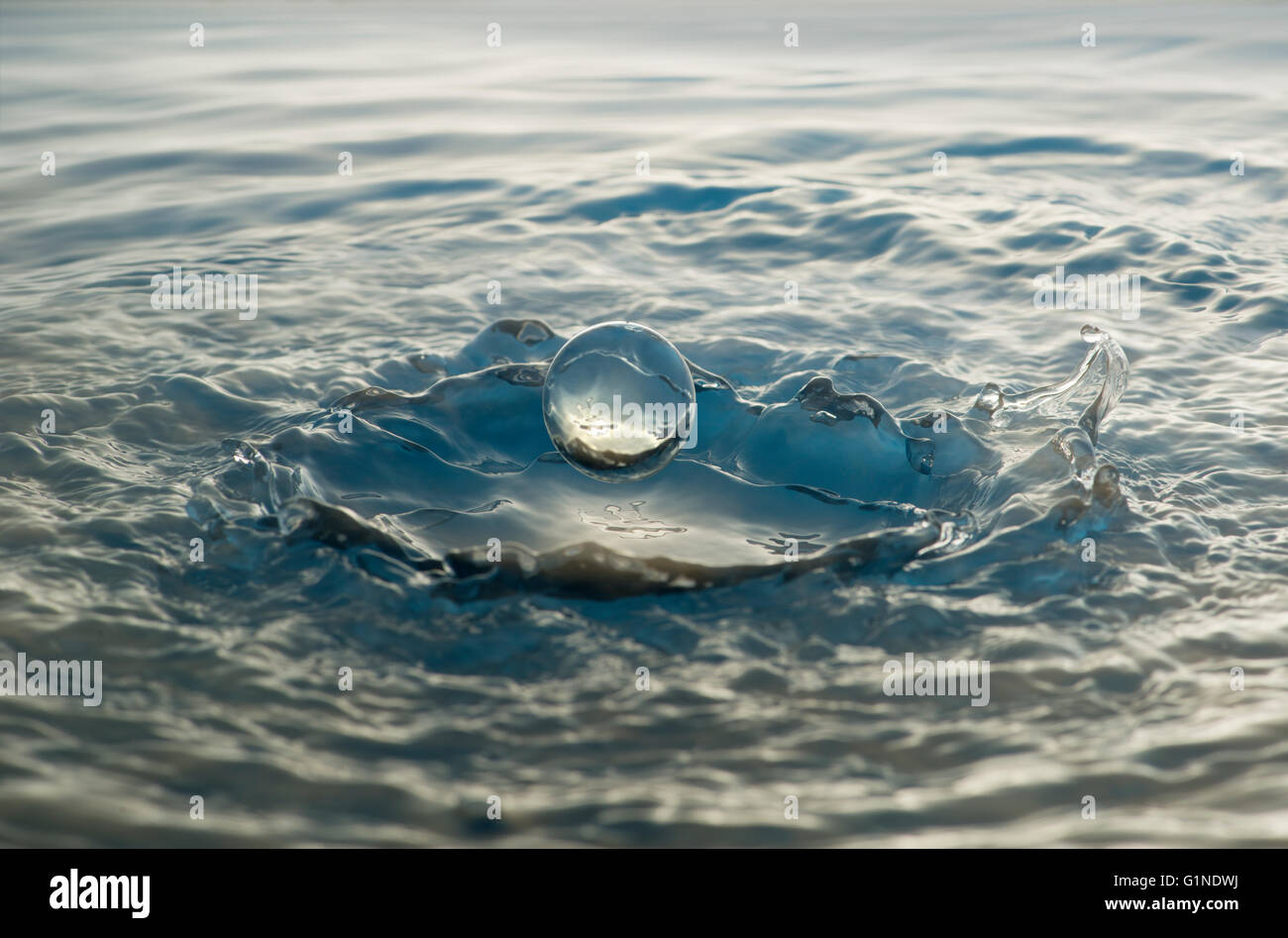 Eine gefederte Wassertropfen schweben über Pool Stockfoto