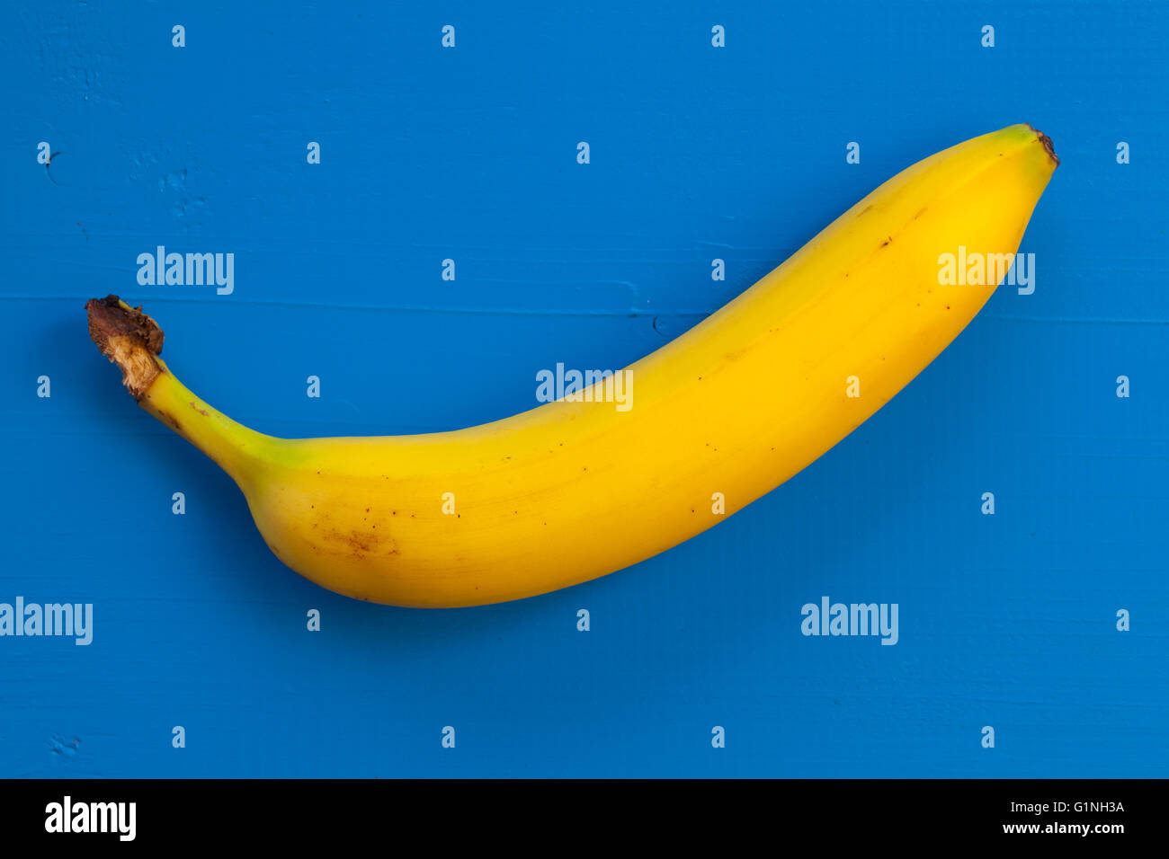 Einzige Banane isoliert auf dem blauen Tisch Stockfoto
