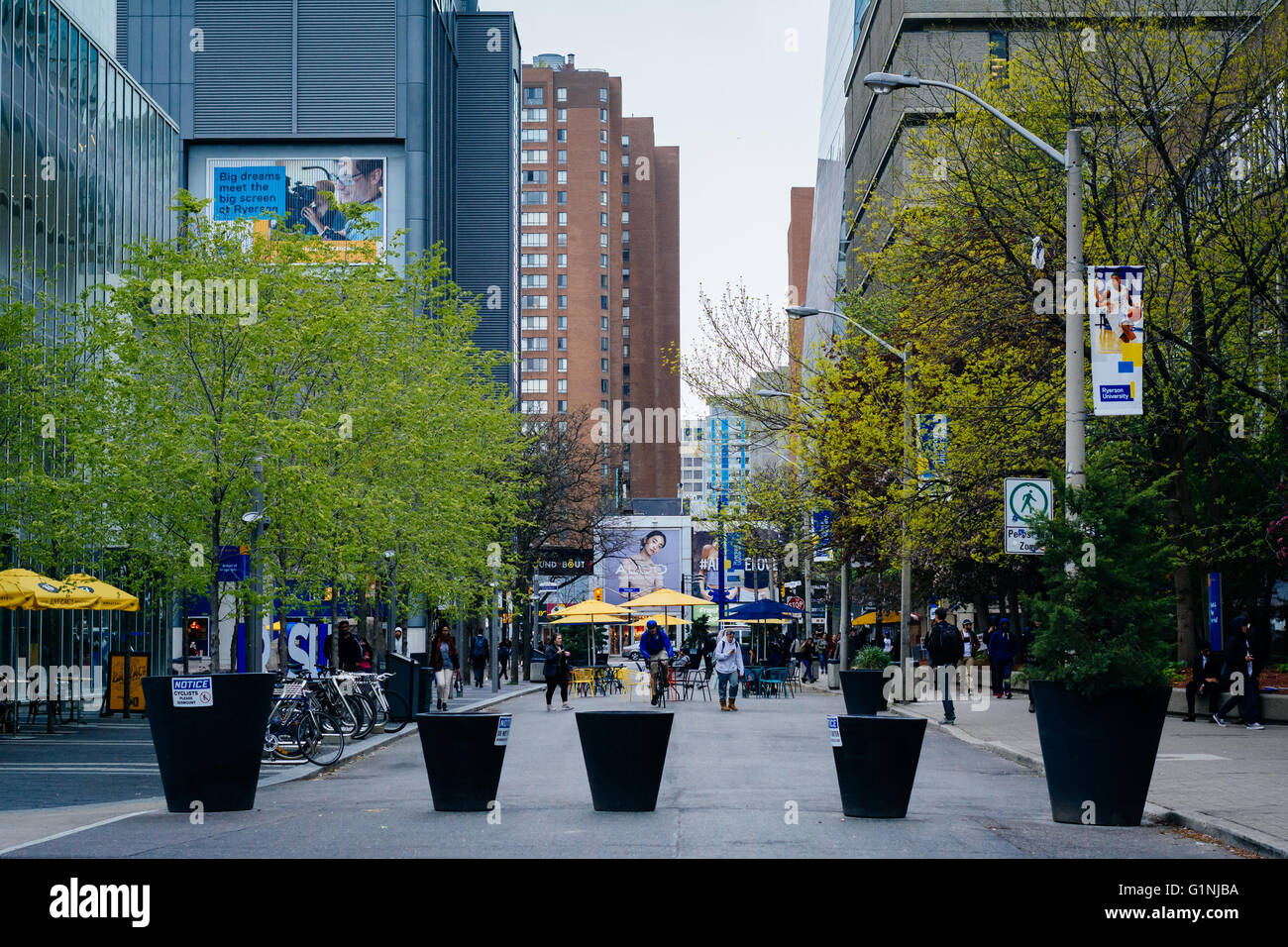 Gould Street, an der Ryerson Universität in Toronto, Ontario. Stockfoto