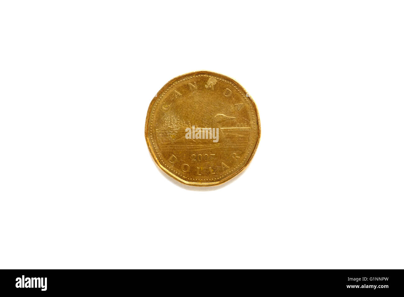 Die Rückseite einer kanadischen ein Dollar Münze vor weißem Hintergrund fotografiert. Stockfoto