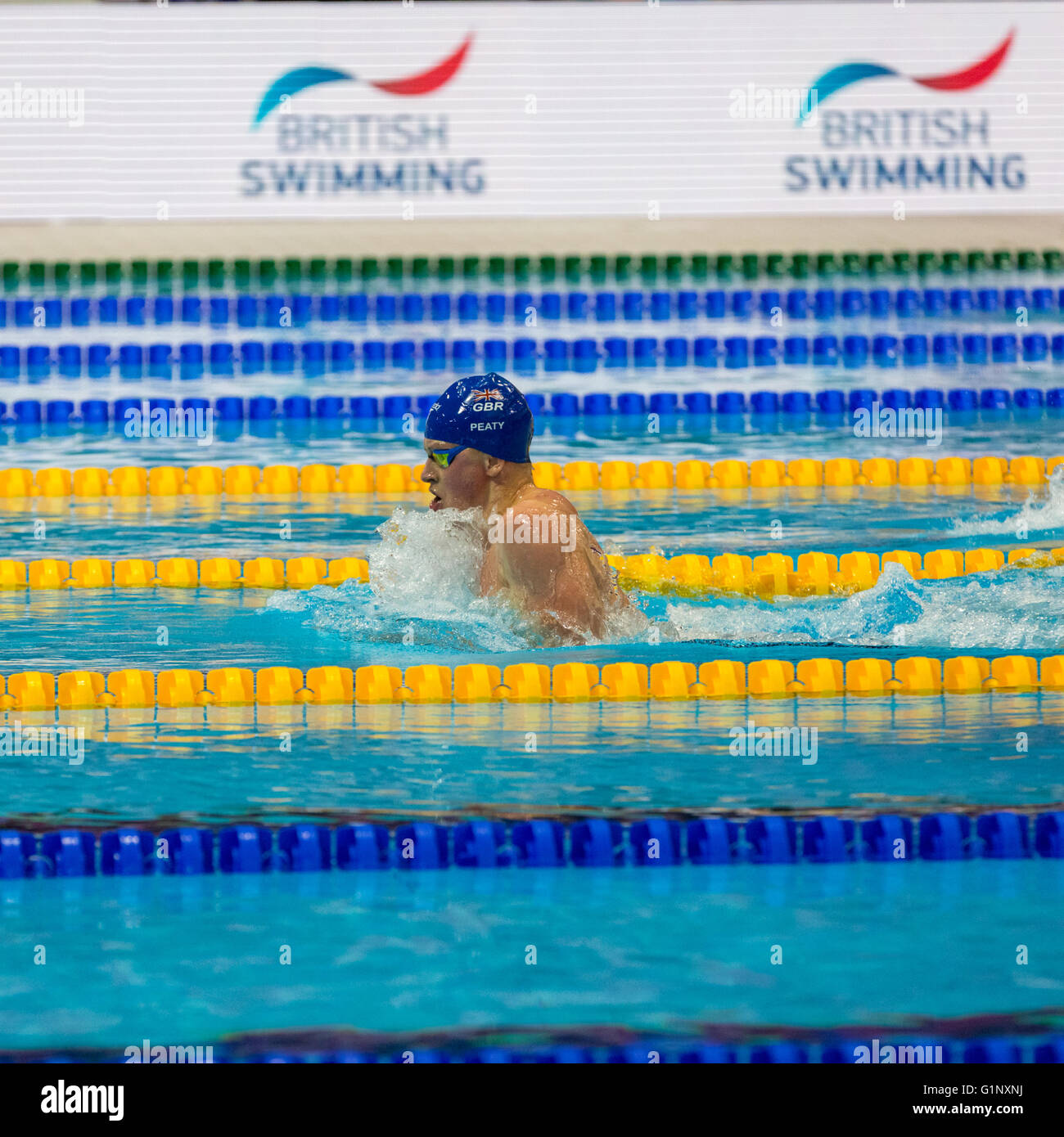 London, UK. 17. Mai 2016. Aquatics Centre, London, UK, 17. Mai 2016. Britische Schwimmerin und Kazan World Champion Adam Peaty im 100m Brustschwimmen Finale. Adam Peaty gewinnt Gold im 58.36s, mit der zweiten britischen Schwimmer Ross Murdoch, wobei Silber (59.73s) und litauischen Giedrius Titenis gewann Bronze. Bildnachweis: Imageplotter und Sport/Alamy Live Nachrichten Stockfoto