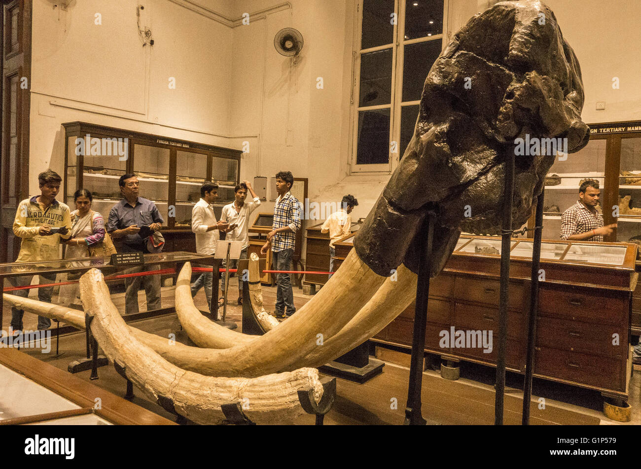 Kolkata, Indian state West Bengal. 18. Mai 2016. Menschen besuchen das Indian Museum, während eine kostenlose Führung am Internationalen Museumstag in Kalkutta, Hauptstadt des östlichen indischen Bundesstaat Westbengalen, am 18. Mai 2016. Den Internationalen Museumstag soll Bewusstsein für den kulturellen Austausch, Bereicherung der Kulturen und die Entwicklung des gegenseitigen Verständnisses, Zusammenarbeit und Frieden unter den Menschen zu erhöhen. © Tumpa Mondal/Xinhua/Alamy Live-Nachrichten Stockfoto