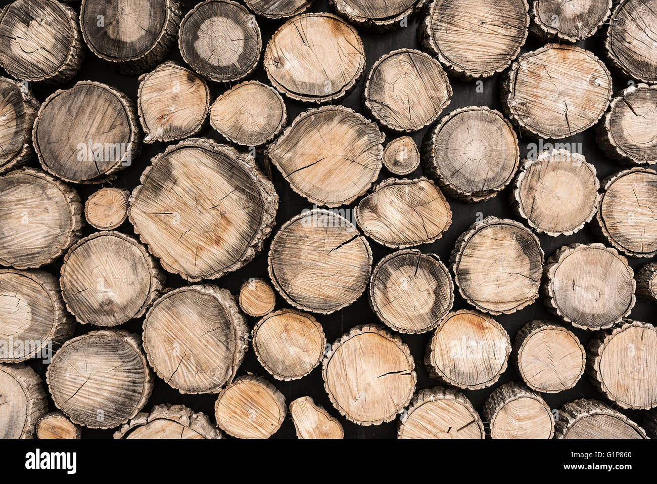 Baumstümpfe Hintergrund. Sauberen Sie ökologisch Boden oder Wand Dekoration die Baumstümpfe. Stockfoto