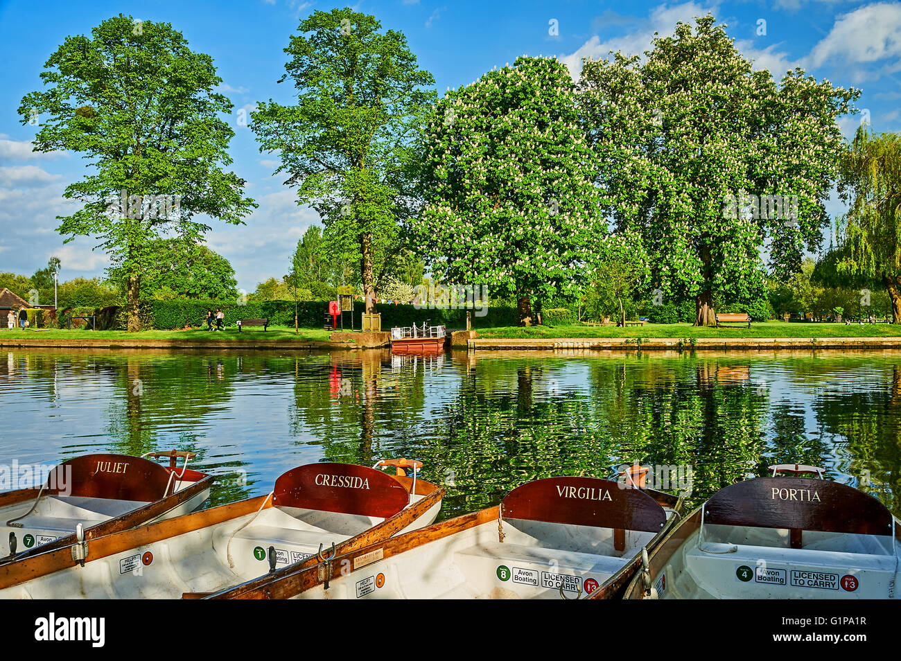 Rudern Boote auf dem Fluss Avon in Stratford-upon-Avon, Warwickshire an einem Sommernachmittag Stockfoto