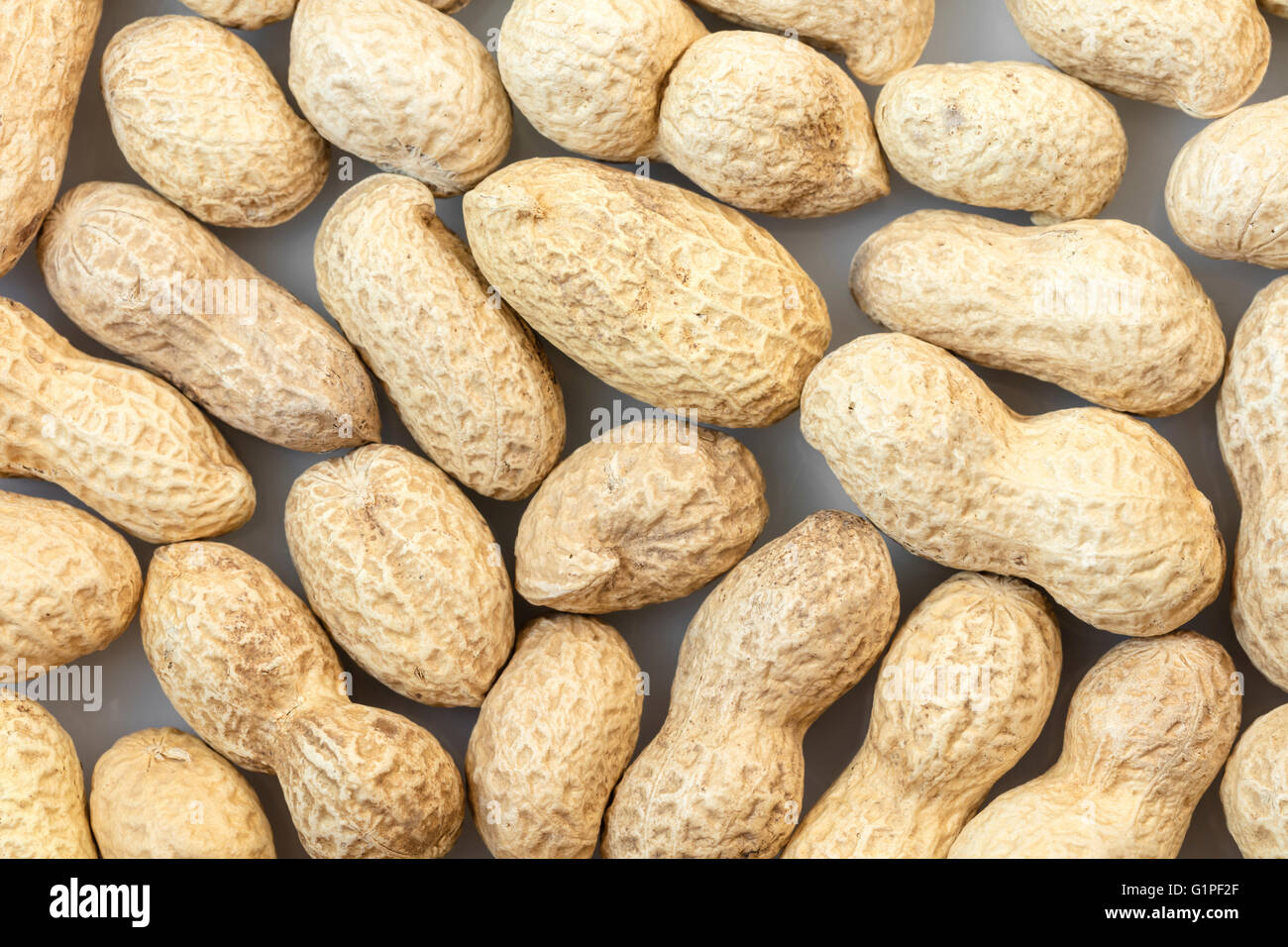 Erdnuss in der Haut Nahaufnahme auf weißem Hintergrund Stockfoto