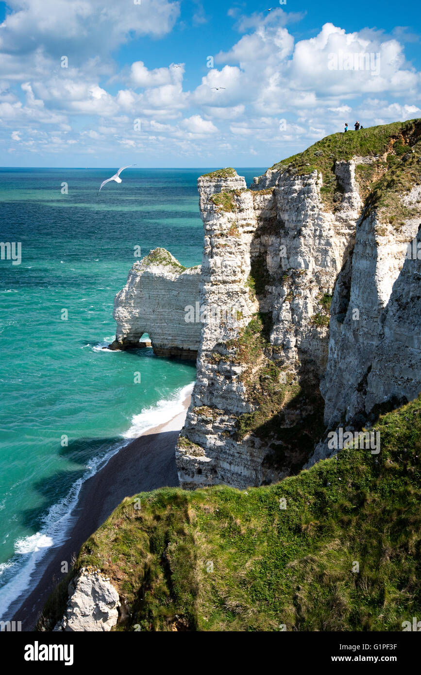 Falaise d'Amont Klippe und Porte d'Amont natürlichen Bogen von Etretat, Alabaster Küste, Normandie Stockfoto