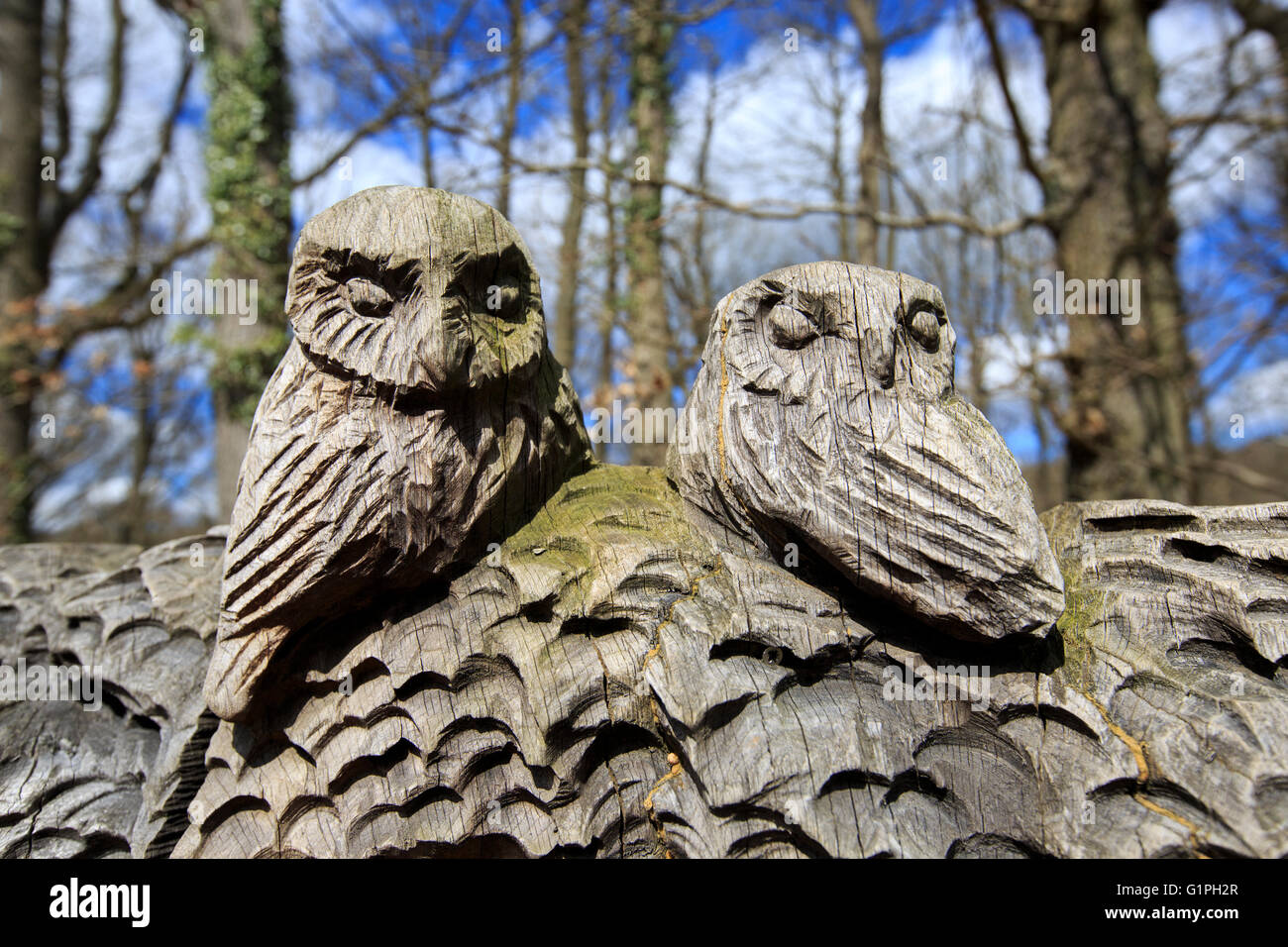Eulenschnitzereien auf einer Wildtierbank entlang einer stillgesandten Eisenbahnstrecke im Wyre Forest, Worcestershire, England Stockfoto