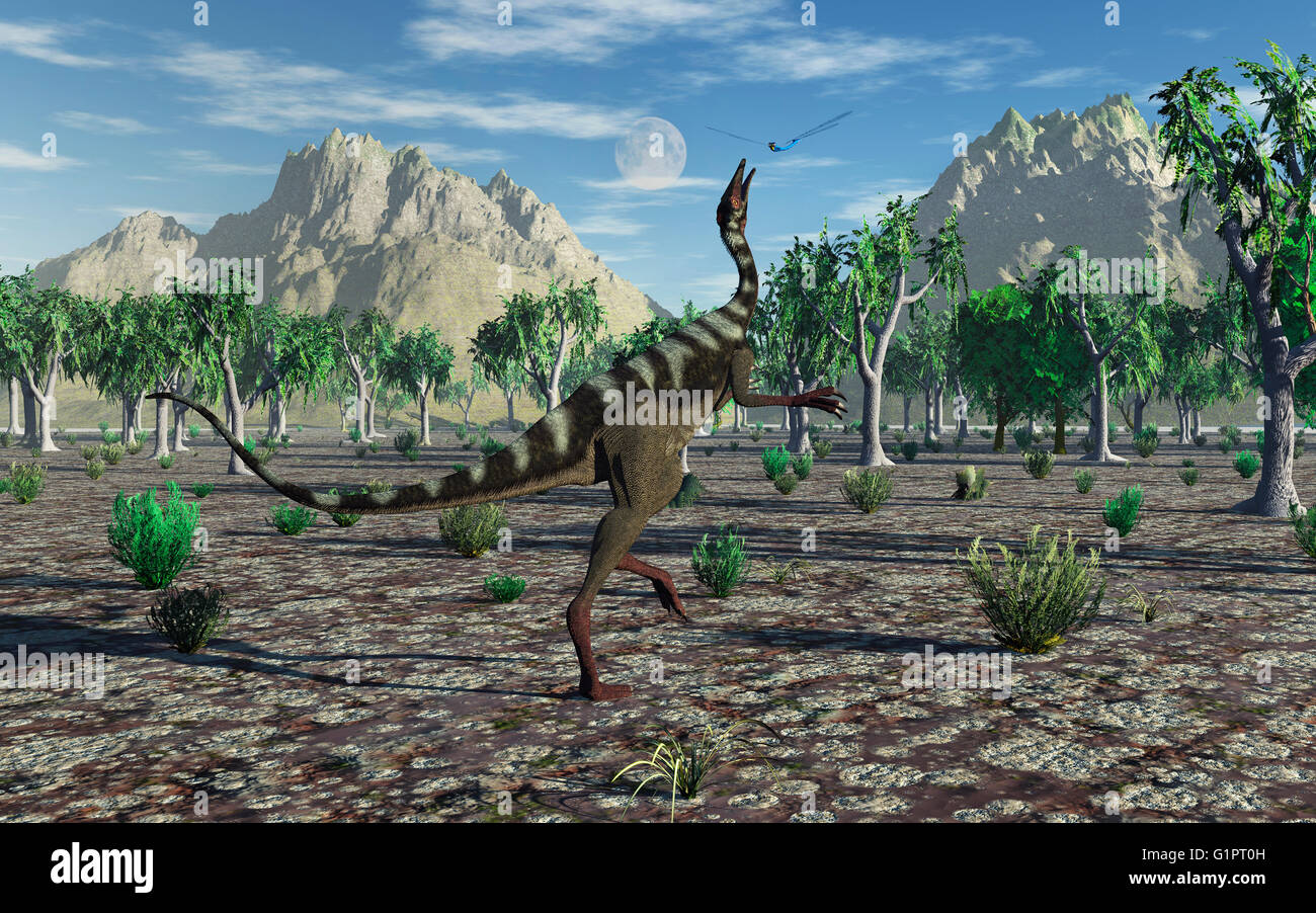 Ein Pelecanimimus Dinosaurier, springen, um eine riesige Libelle zu fangen Stockfoto