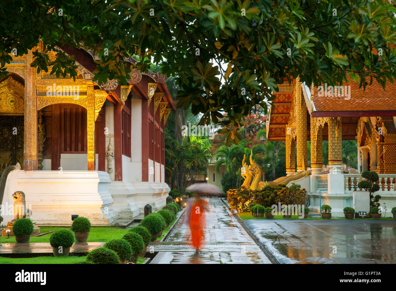 Mönch gehen unter Schirm am Wat Phra Singh Tempel, Chiang Mai, Thailand. Chiang Mai's am meisten verehrten Tempel. Stockfoto