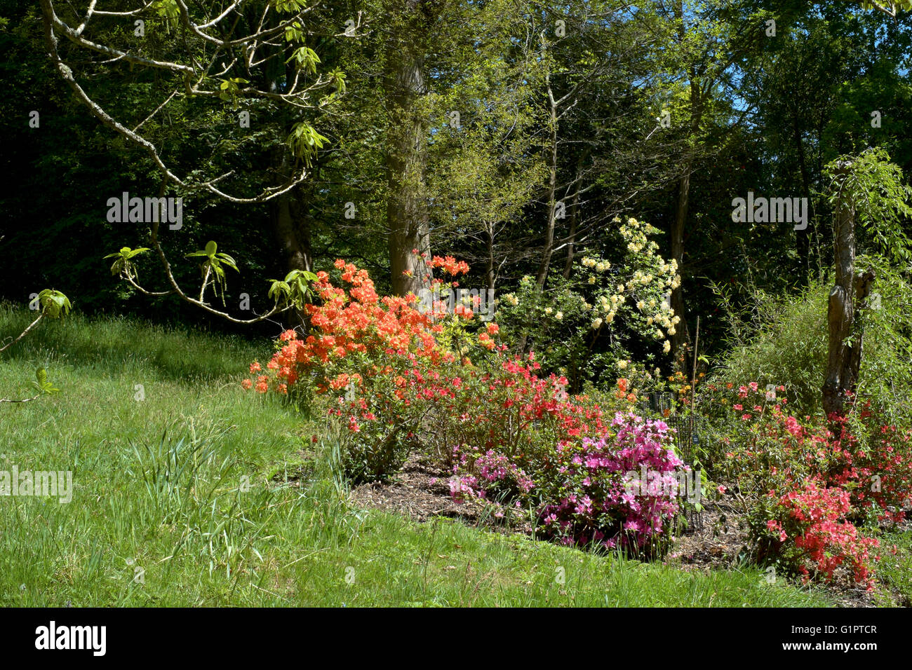 Sir Harold hügeliger Gärten in Romsey England uk Stockfoto