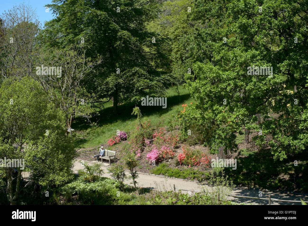 weibliche Besucher saßen auf einer Bank in Sir Harold hügeliger Gärten in Romsey England uk Stockfoto