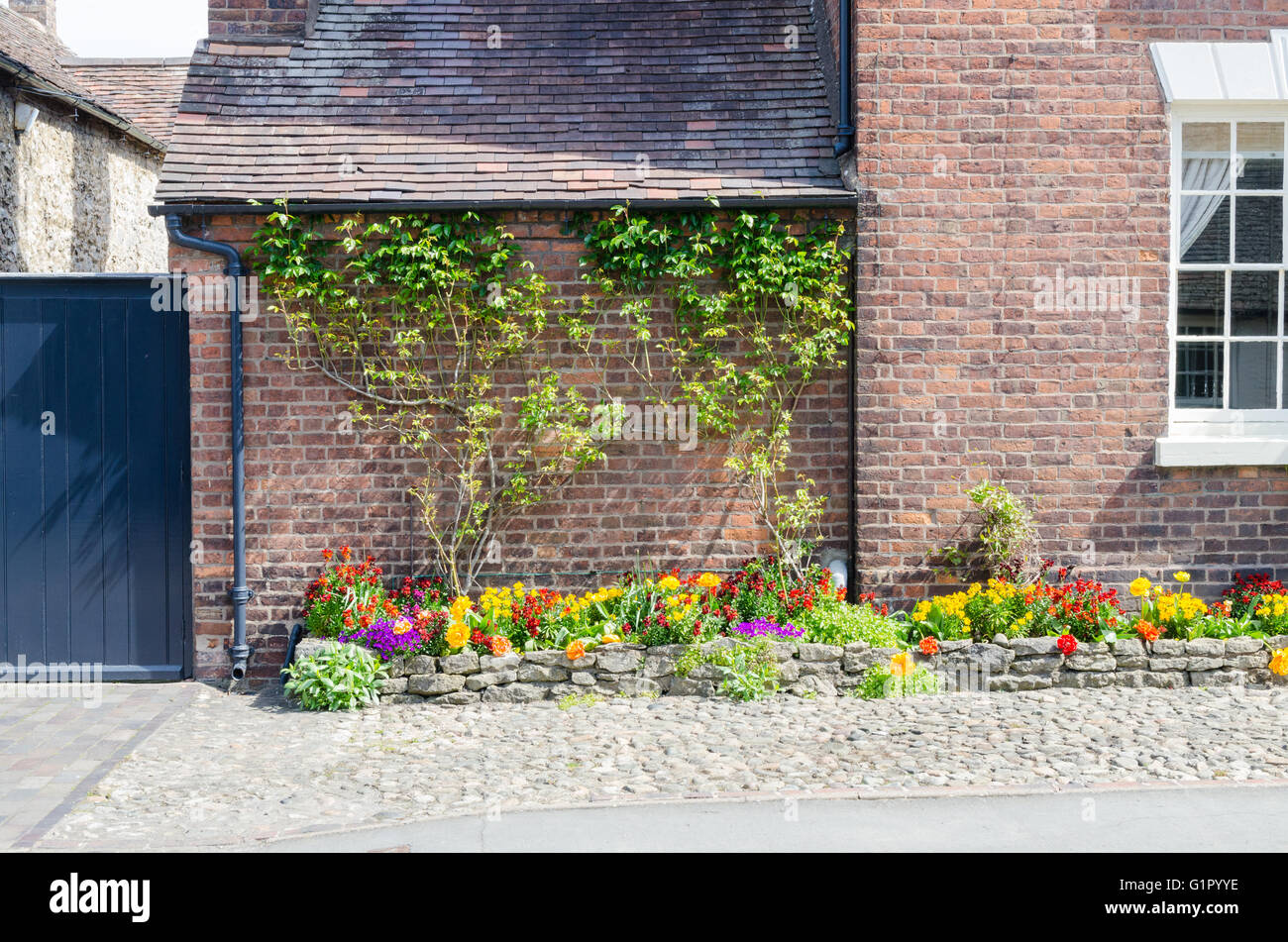 Bunten Blumen und Pflanzen wachsen auf dem Ziegel Wand in Much Wenlock, Shropshire Stockfoto