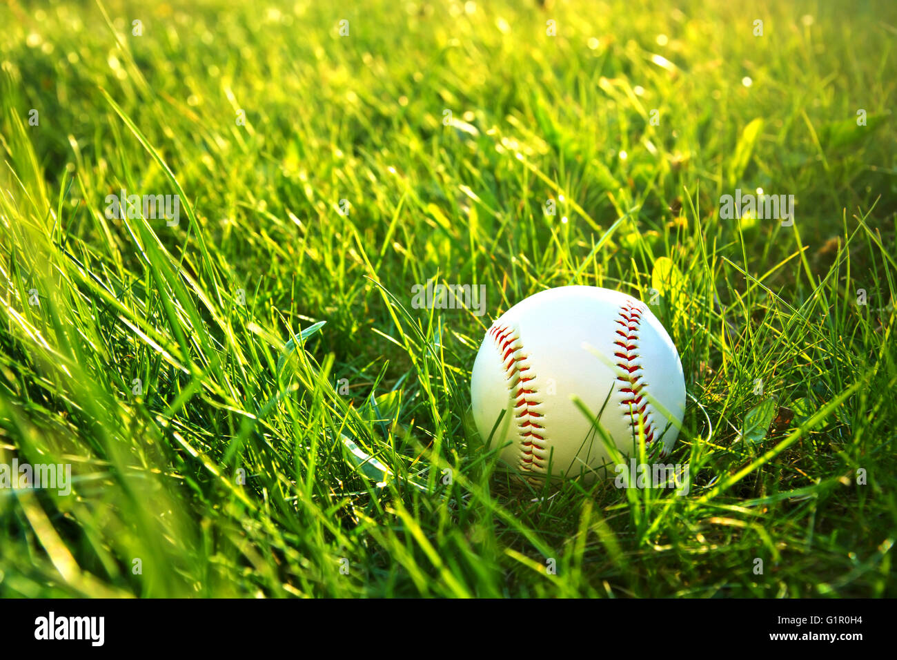 Baseball-Spiel. Baseball-Ball im Rasen. Stockfoto