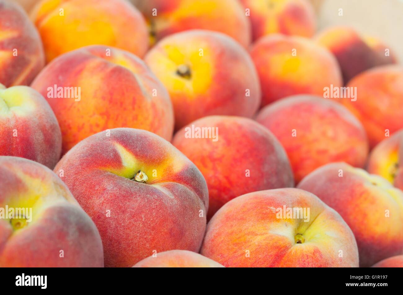 Frischen Pfirsich Heap. Obst-Hintergrund. Flachen DOF Stockfoto