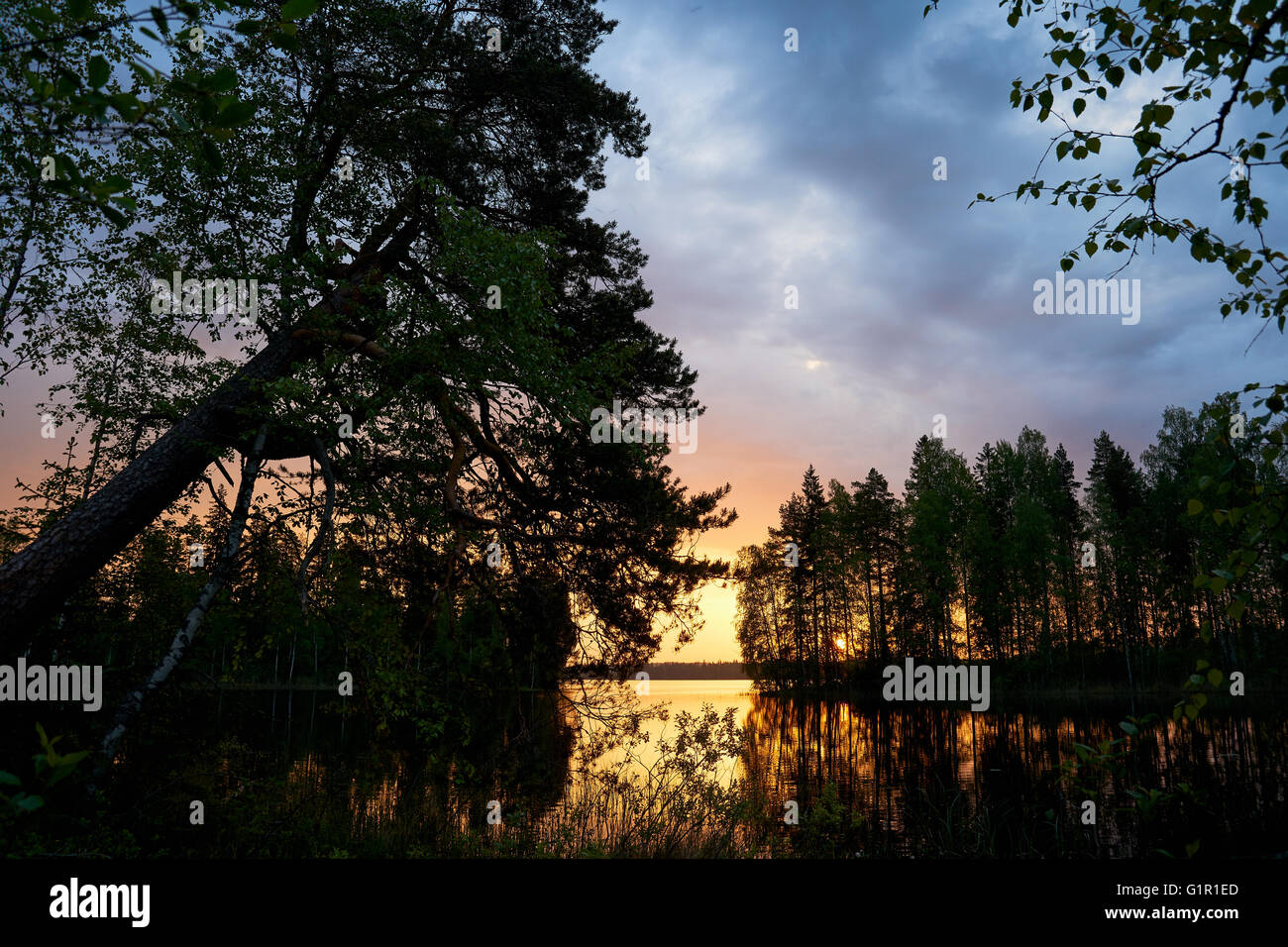 Finnische Landschaft bei Sonnenuntergang mit See und Bäumen Stockfoto