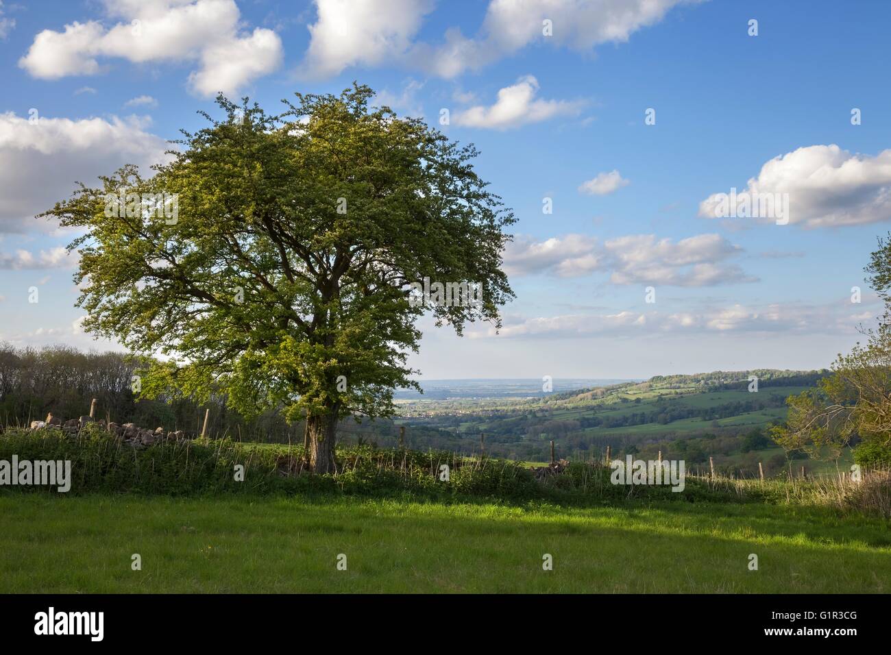 Ländliche Cotswolds, Gloucestershire, England Stockfoto