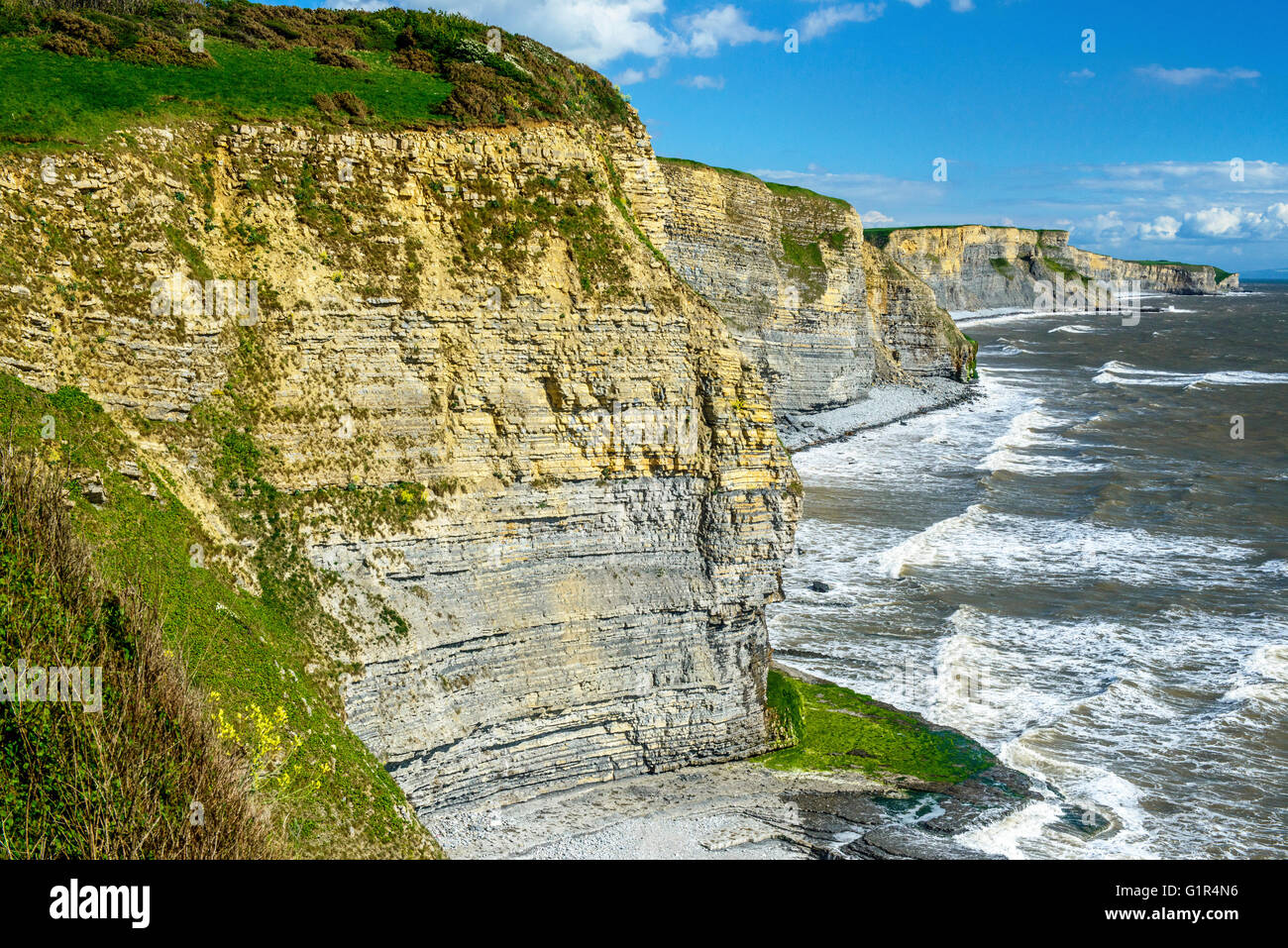 Glamorgan Heritage Coast, Küste, gesehen vom Strand in der Nähe Southerndown an der Küste zeigt die Lias Kalksteinklippen Stockfoto