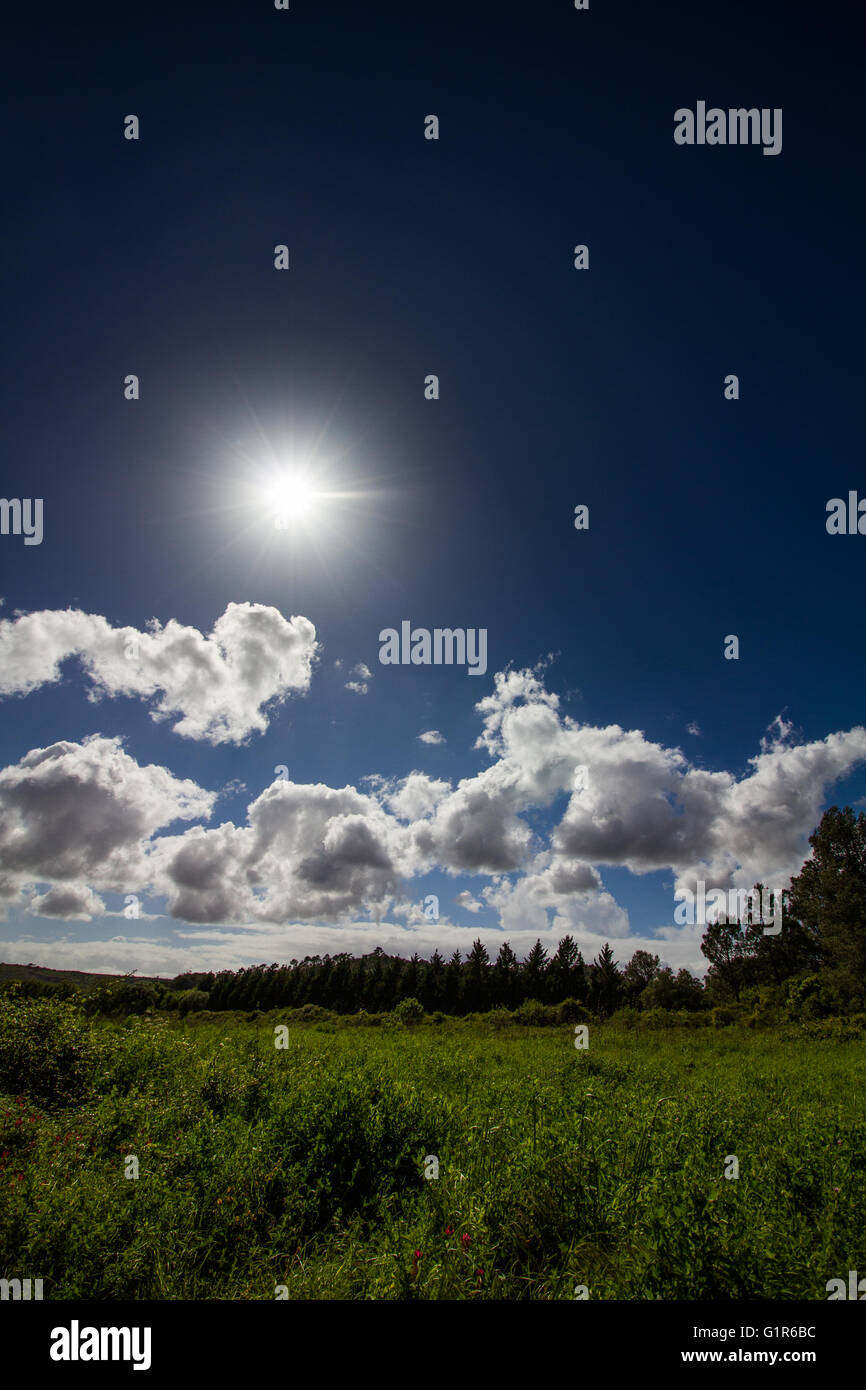 Feld "Land" mit riesigen Himmel mit Wolken Stockfoto